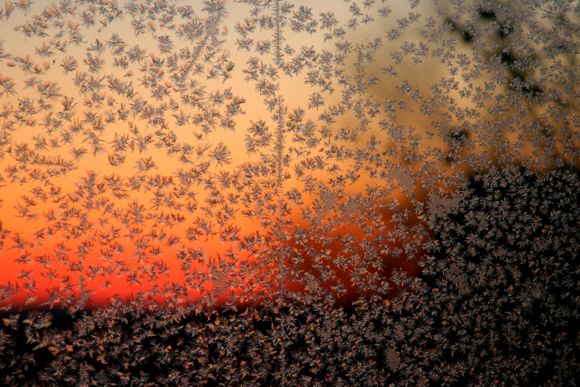 Ice crystals and sunrise - Gilmanton, NH