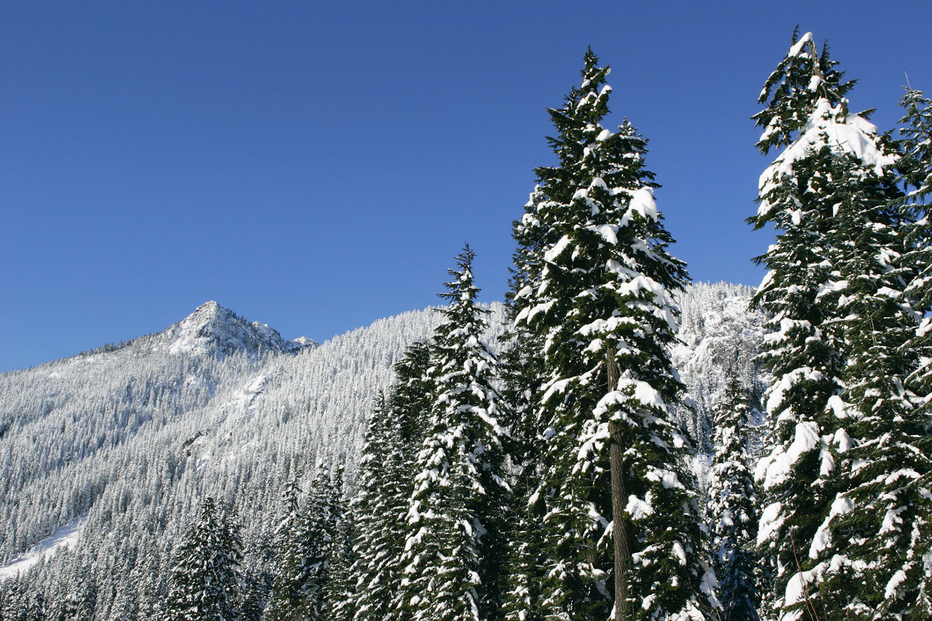 Granite Mountain - Snoqualmie Pass, WA