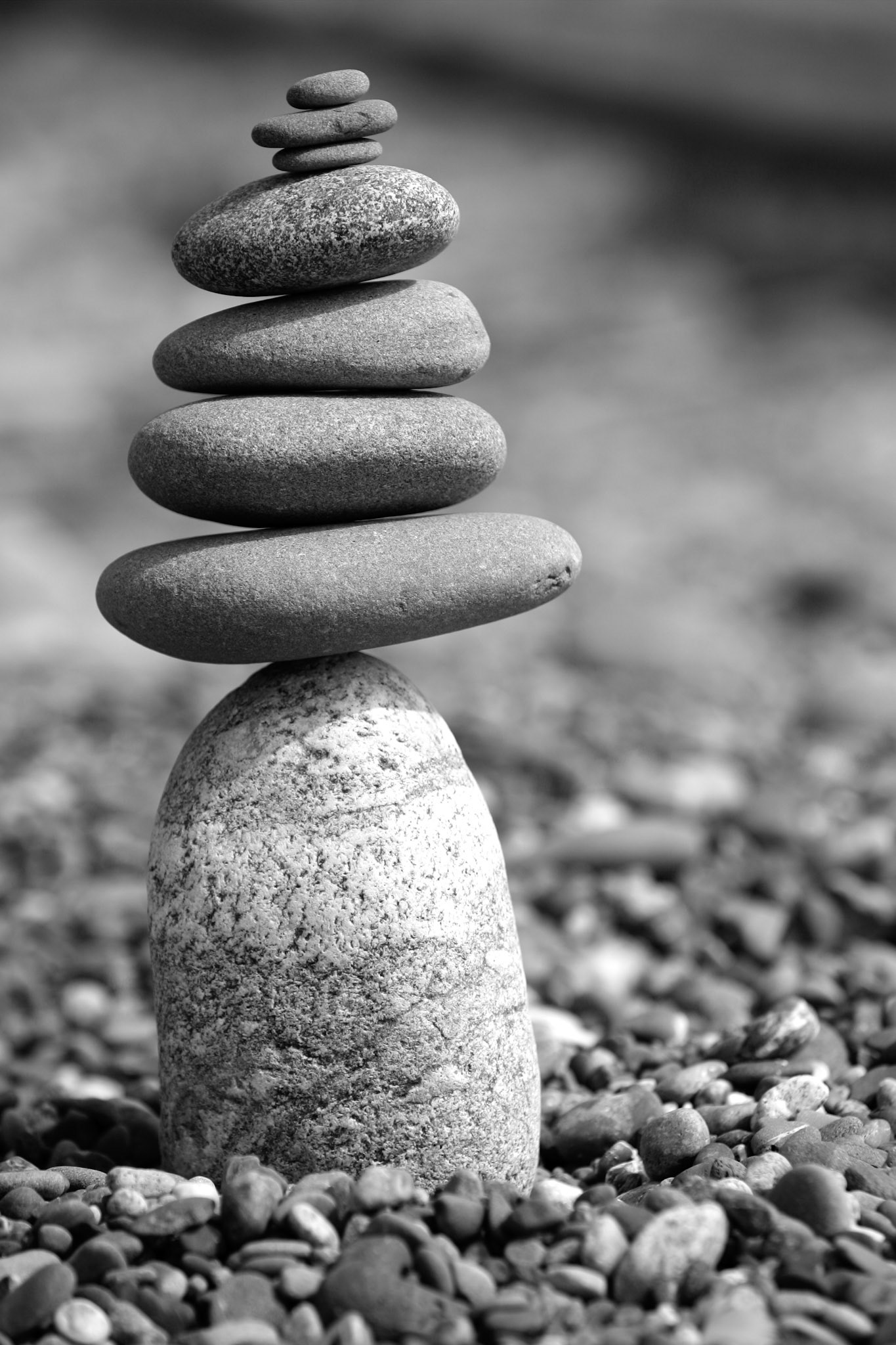Balanced Rocks - Dungeness Spit - Sequim, WA