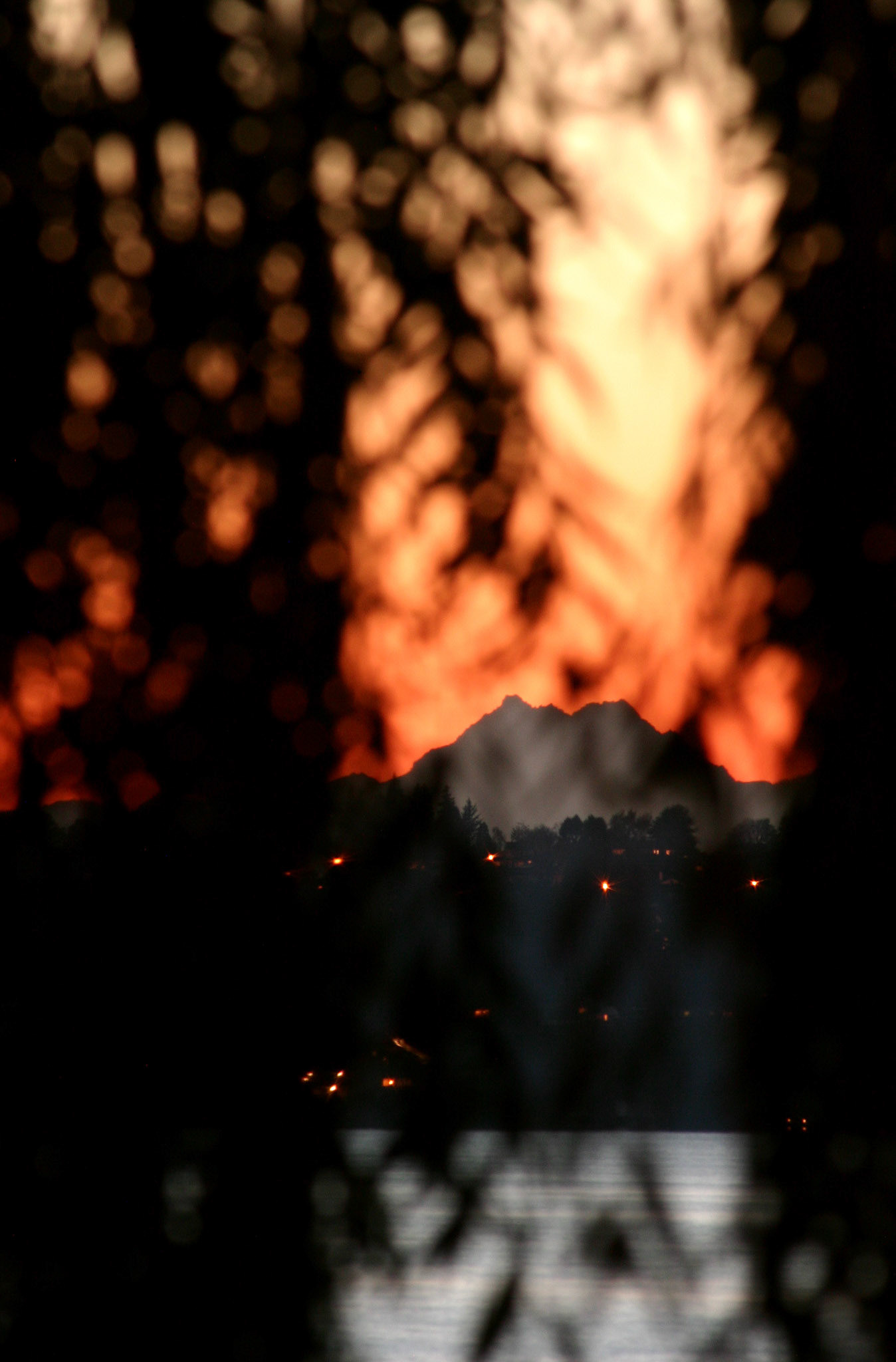 Two Brothers and willow at sunset - Kirkland, WA