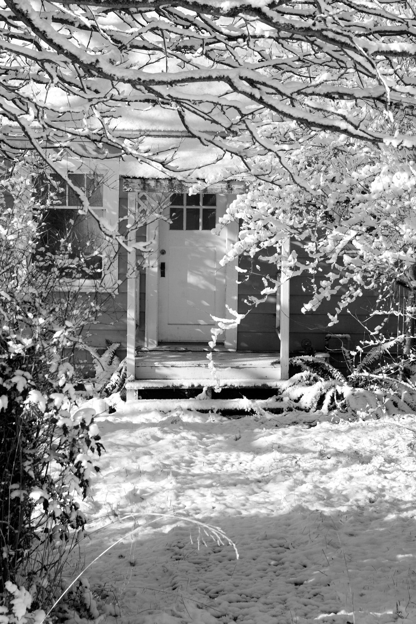 Snowy Door - Kirkland, WA