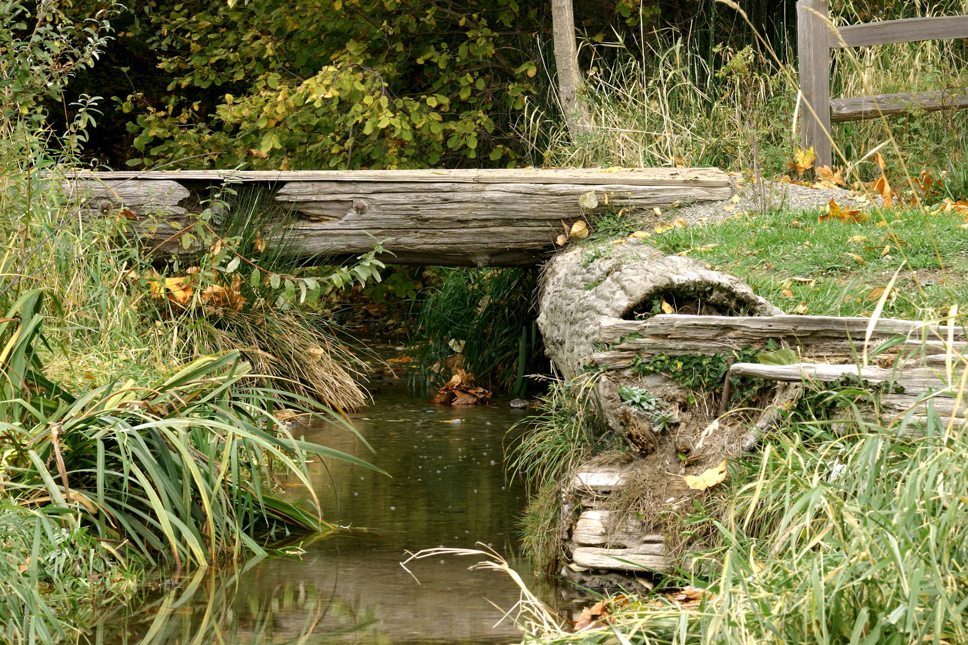 Denny park foot bridge - Kirkland, WA