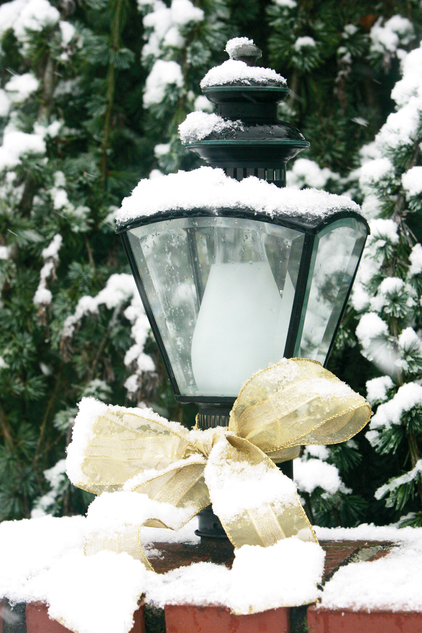 Snow and Lamp - Kirkland, WA