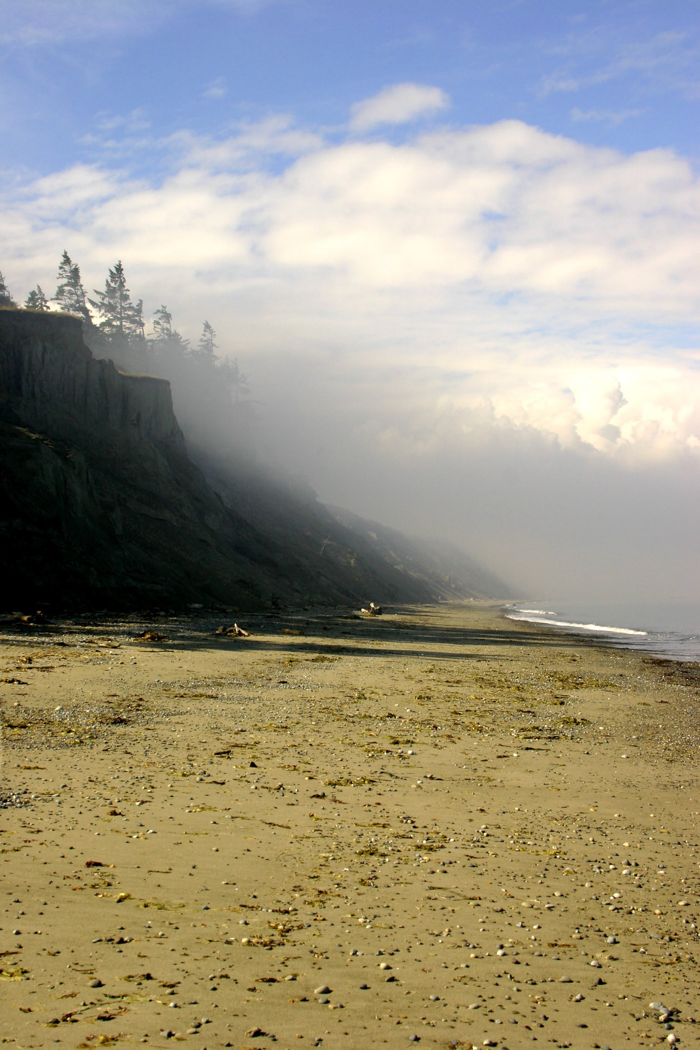 Foggy shore - Dungeness Spit - Sequim, WA