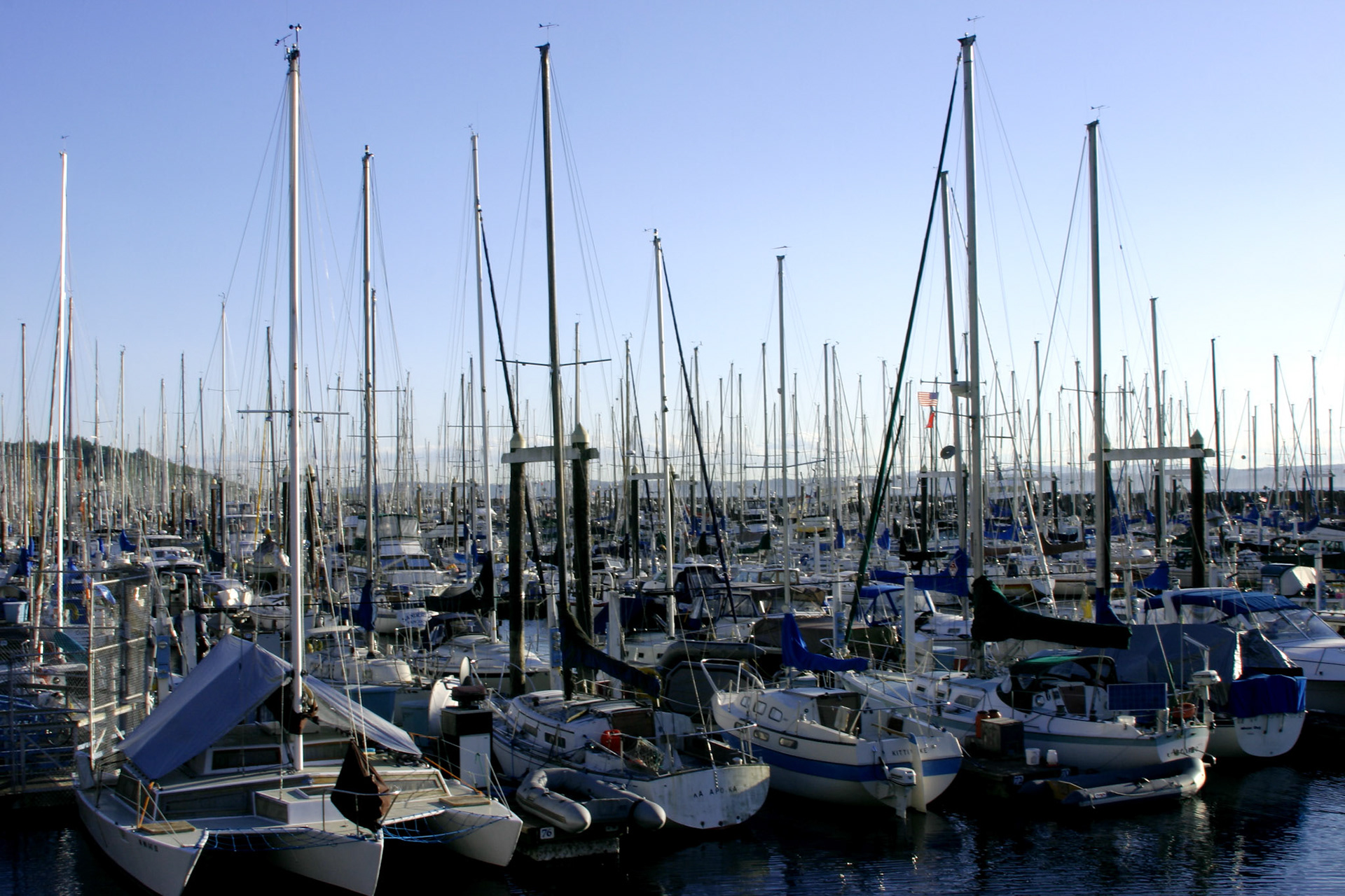 Sailboats in Dock - Golden Gardens Park - Seattle, WA