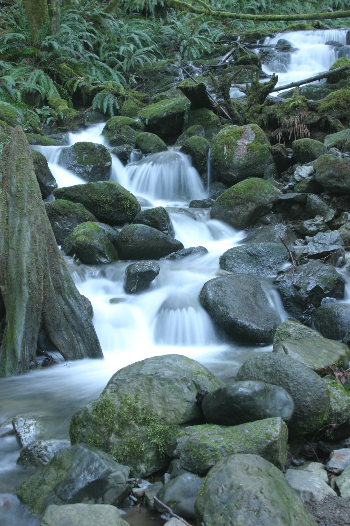 Waterfall - Wallace Falls State Park - Gold Bar, WA