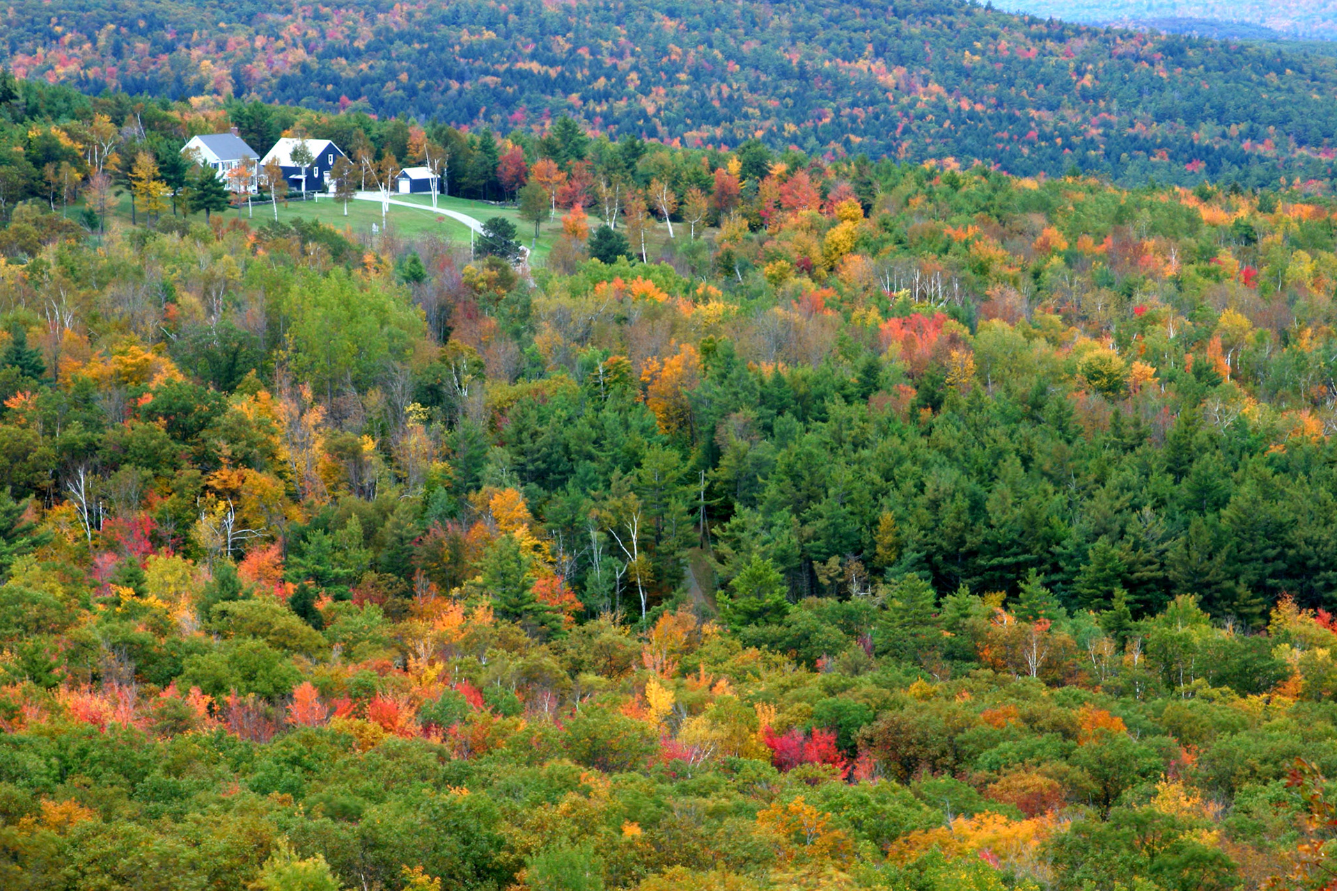 Fall foliage - Gilmanton, NH
