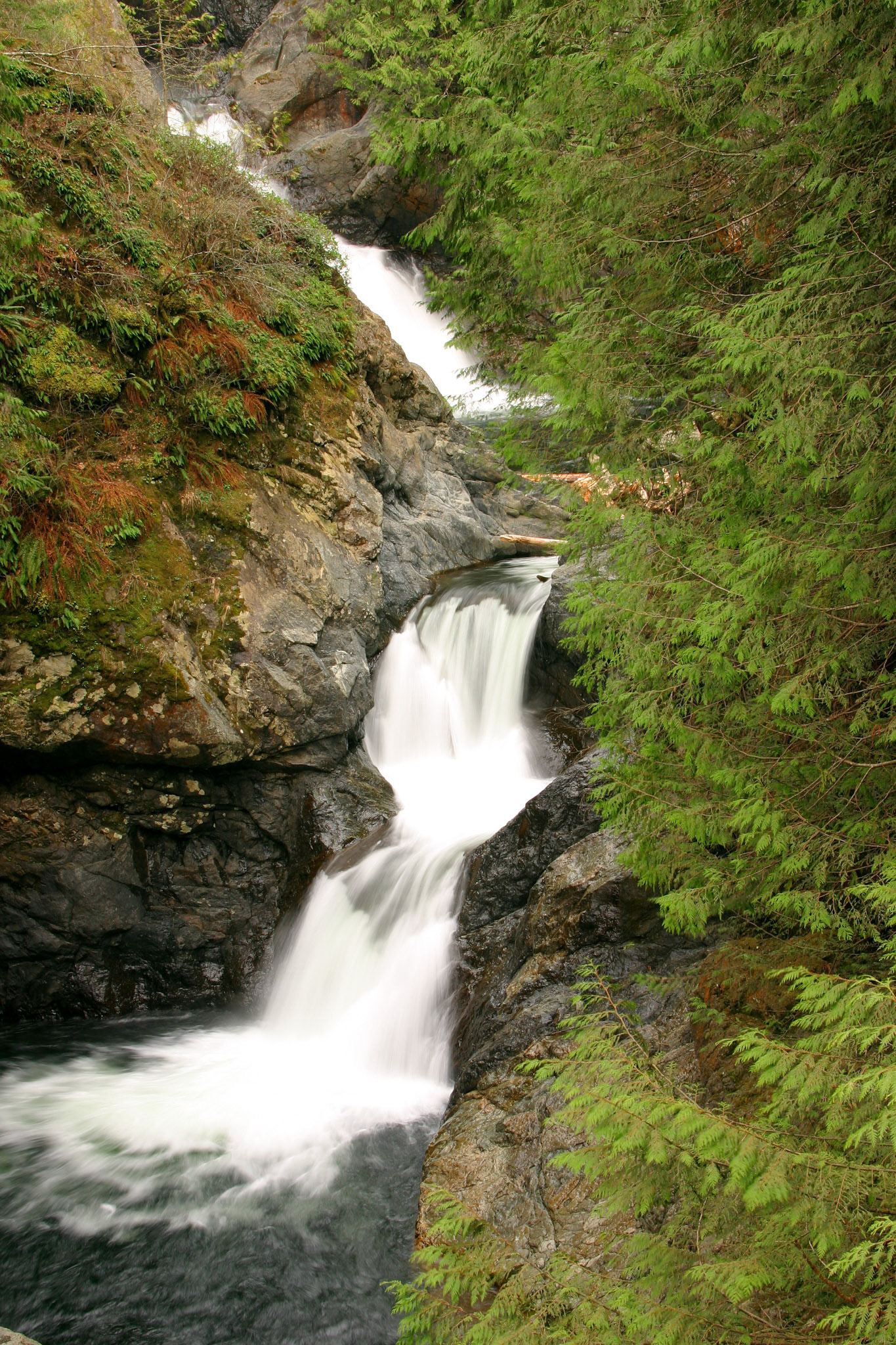 Water fall - Wallace Falls State Park - Gold Bar, WA