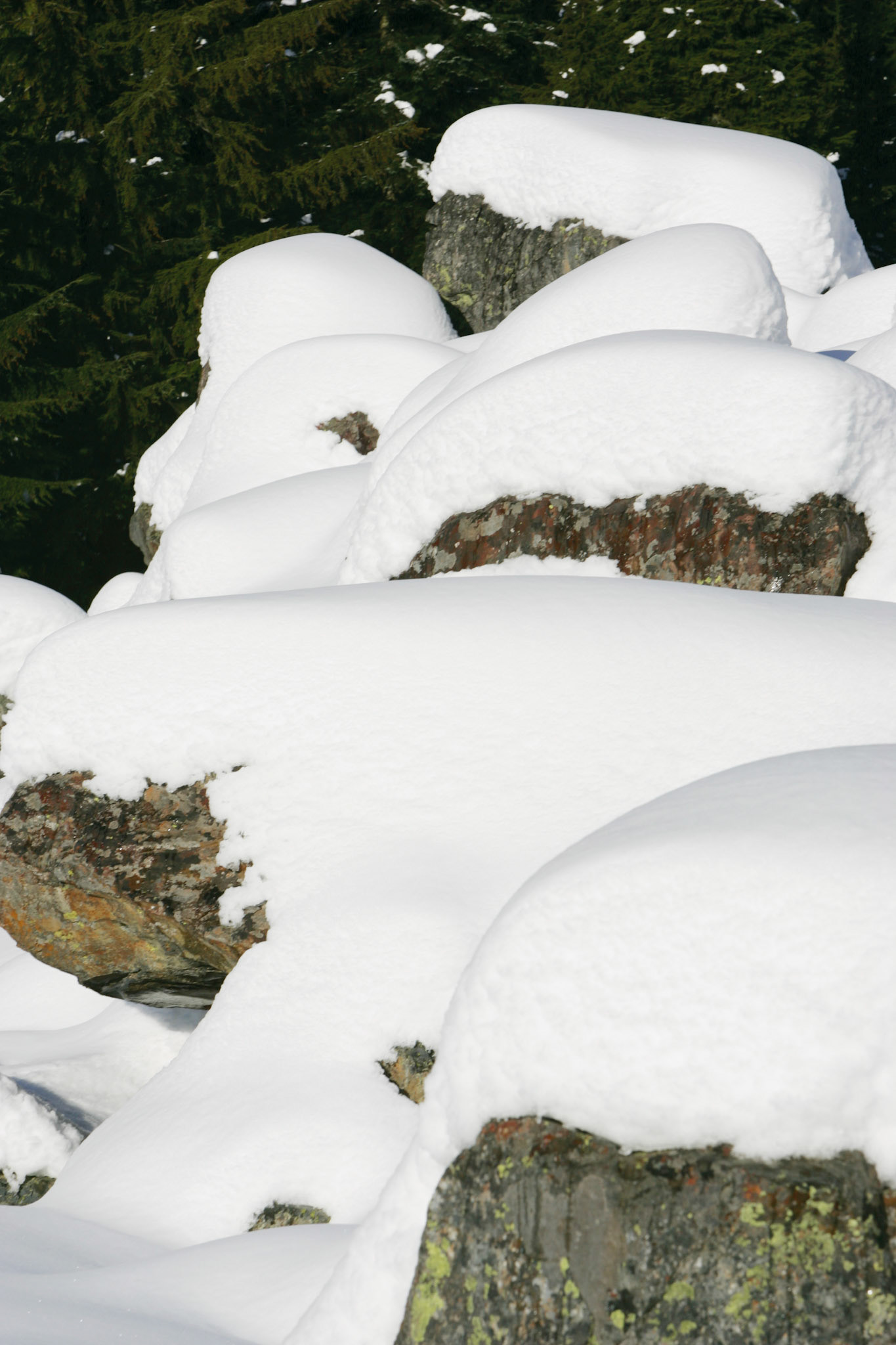 Snow Capped Bolders - Snoqualmie Pass, WA