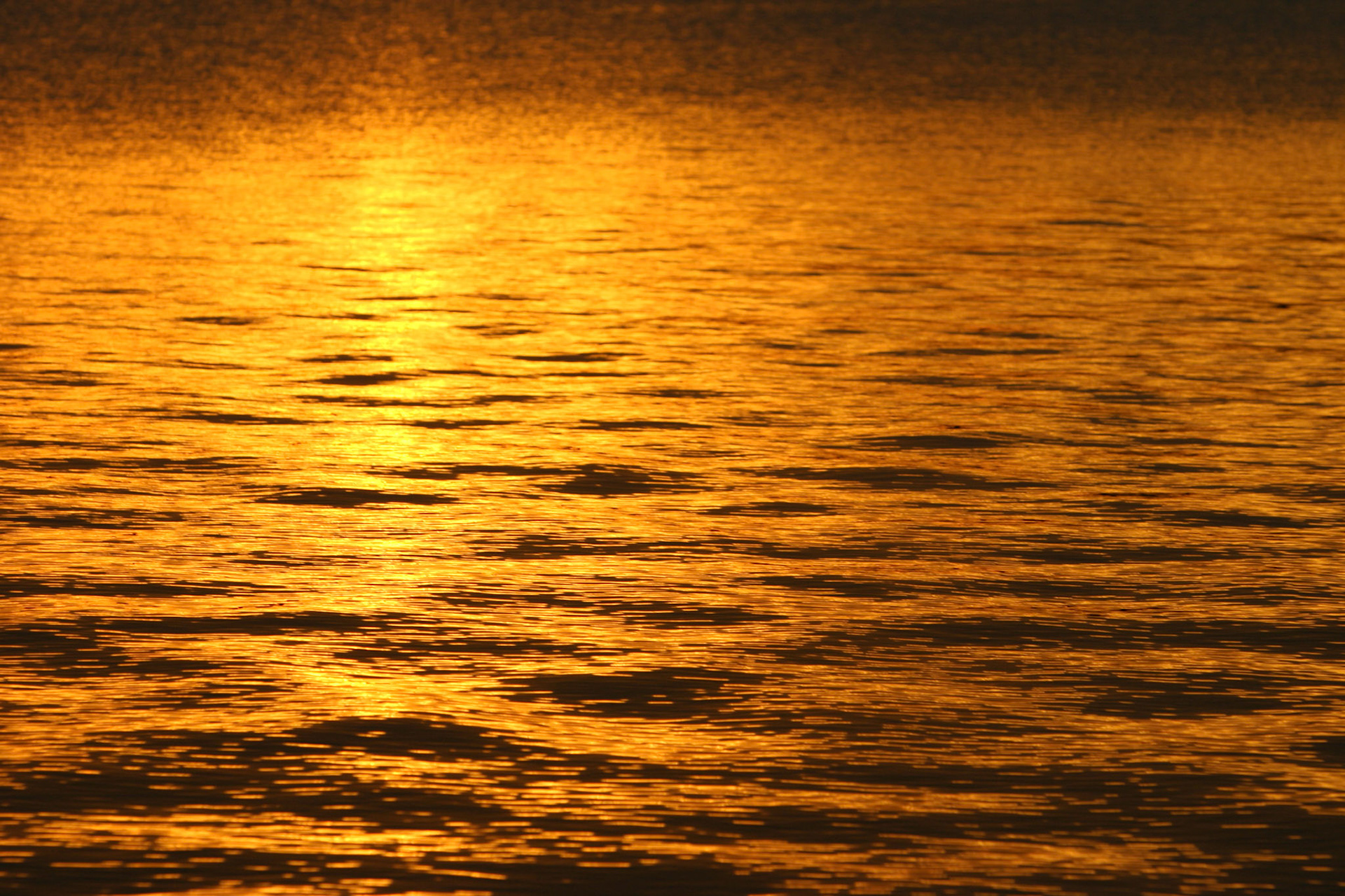 Colored Lake Washington - Denny Park - Kirkland, WA
