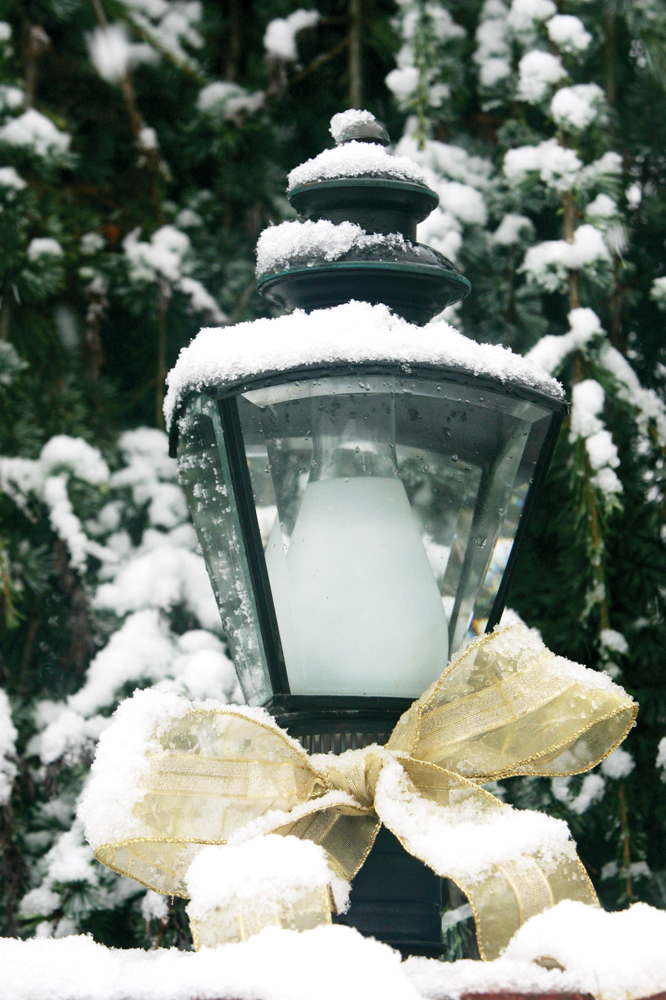 Snow and Lamp - Kirkland, WA