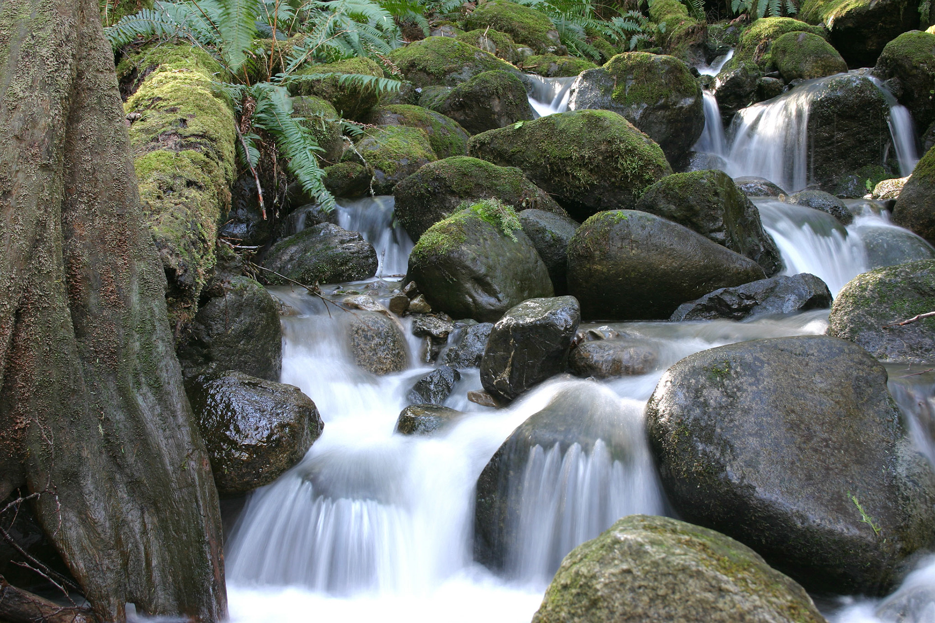 Waterfall- Wallace Falls State Park - Gold Bar, WA