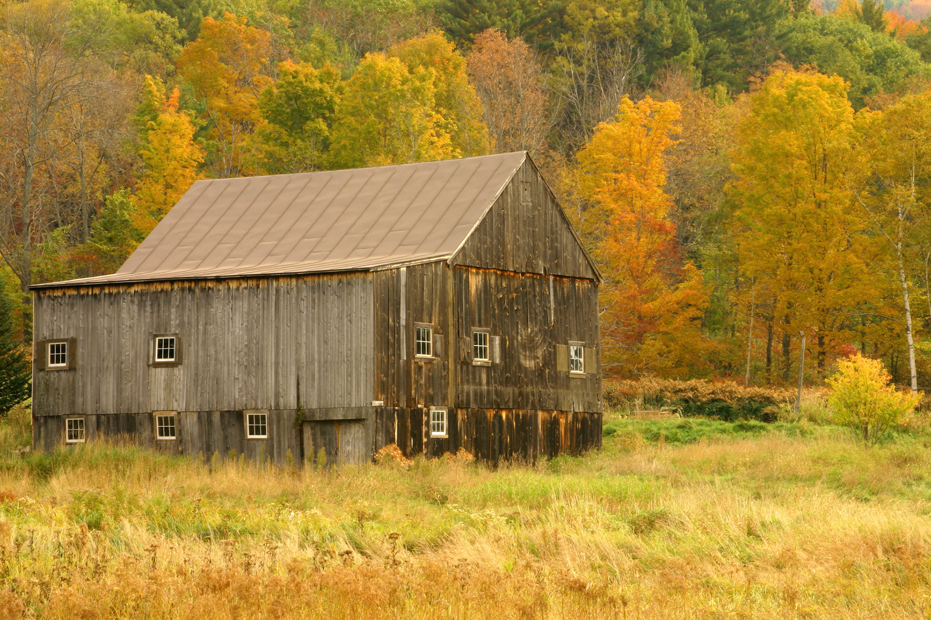 Barn and colors - Lyme, NH
