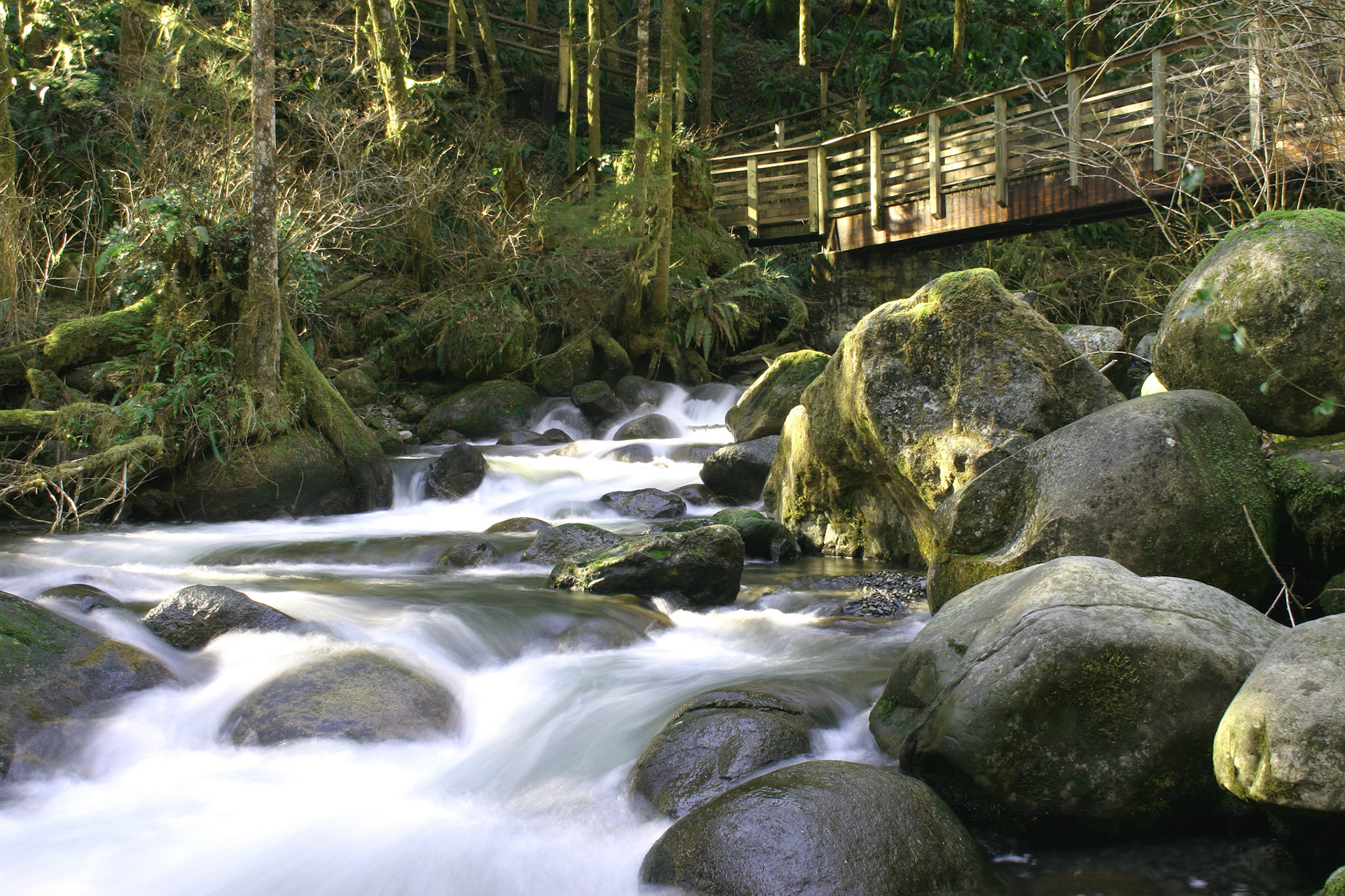 Bridge over rapids - Wallace Falls State Park - Gold Bar, WA