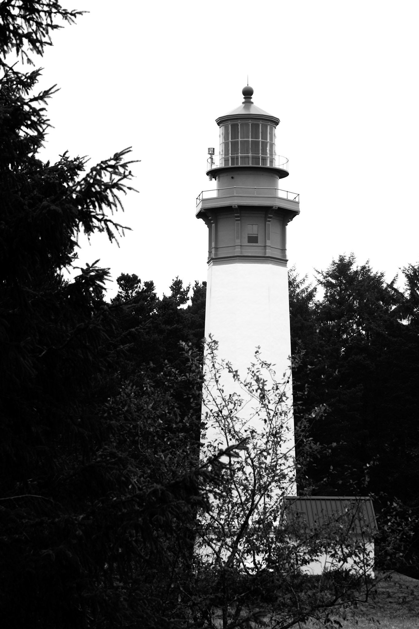 Grays Harbor Light - Westport, WA