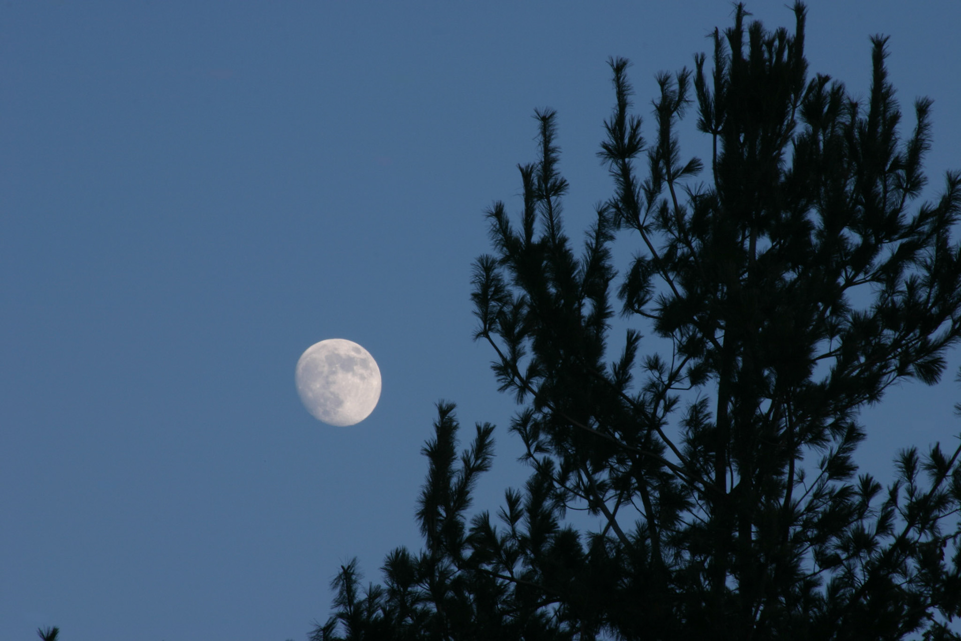 Winter moon - Woodenville, WA