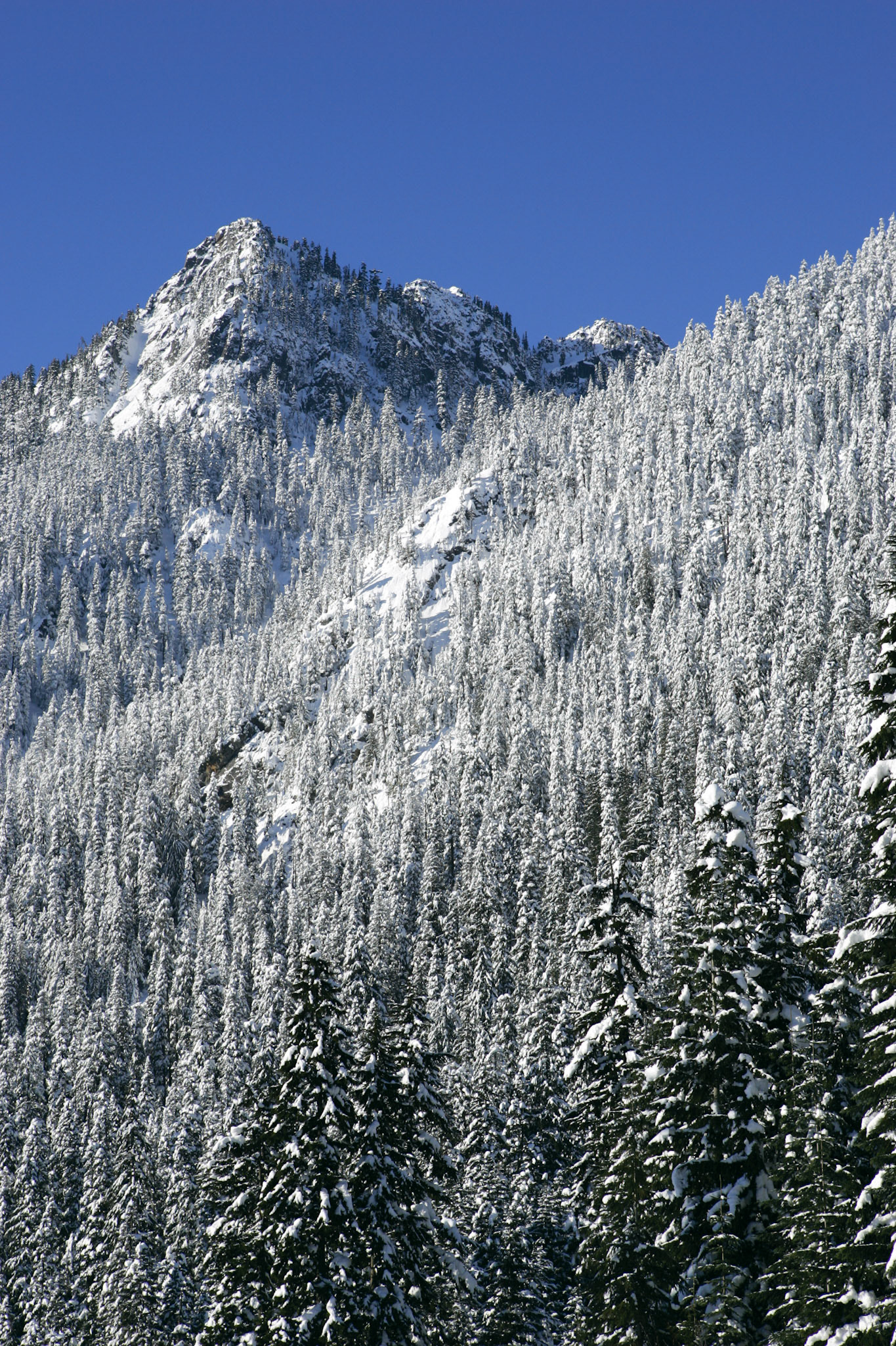 Denny Mountian - Snoqualmie Pass, WA