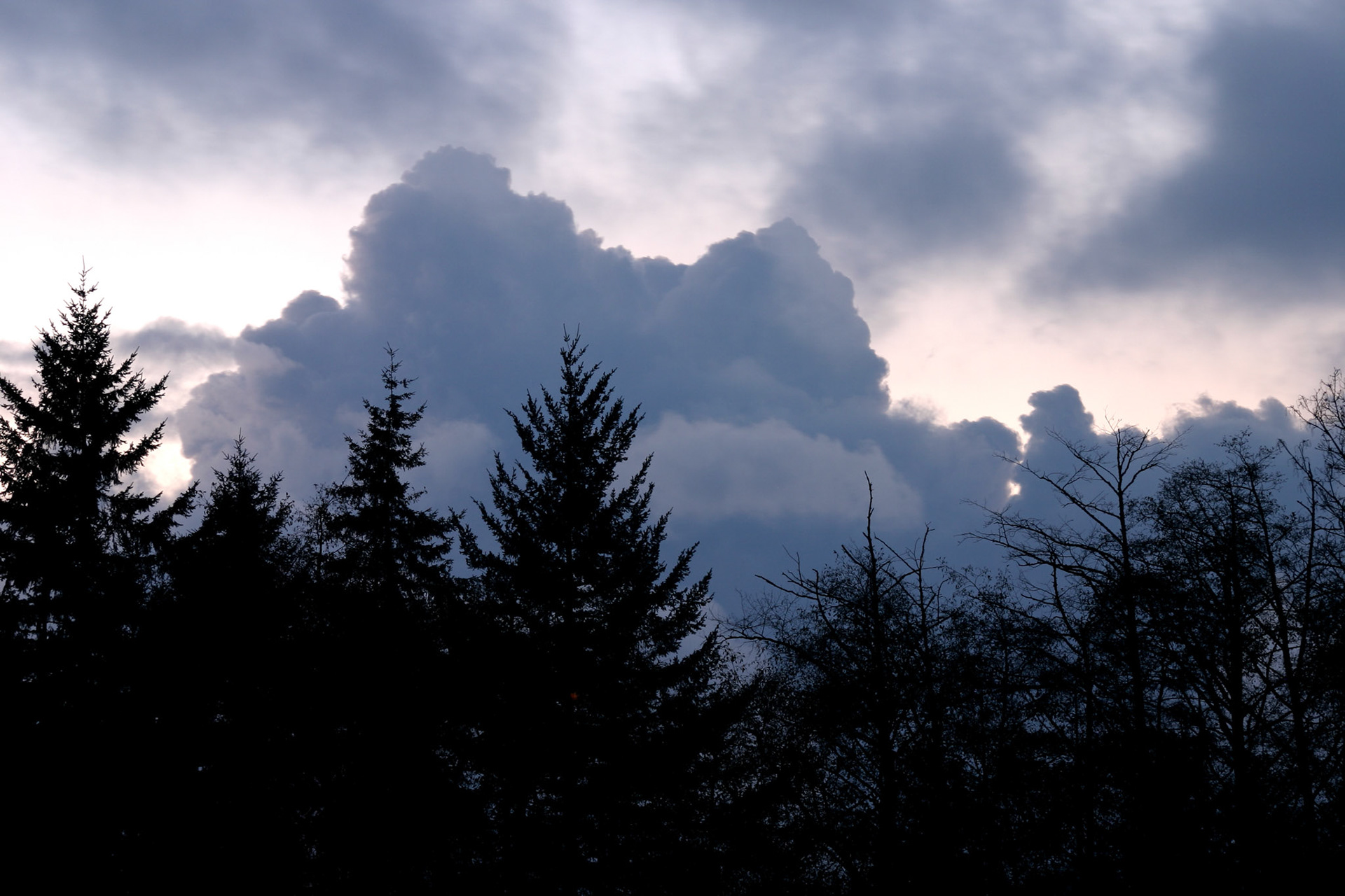 Stormfront - Finn Hill - Kirkland, WA