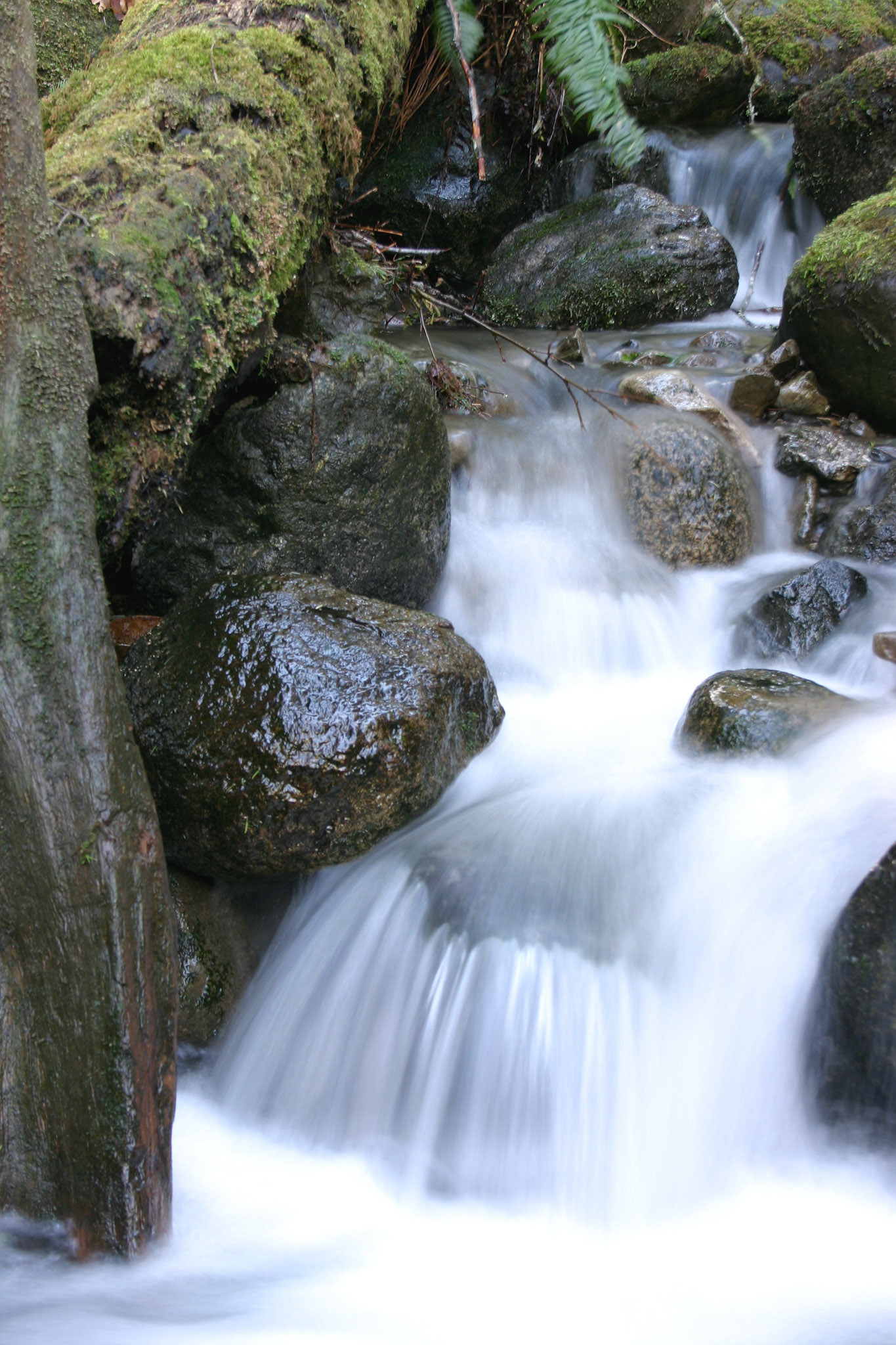 Waterfall- Wallace Falls State Park - Gold Bar, WA