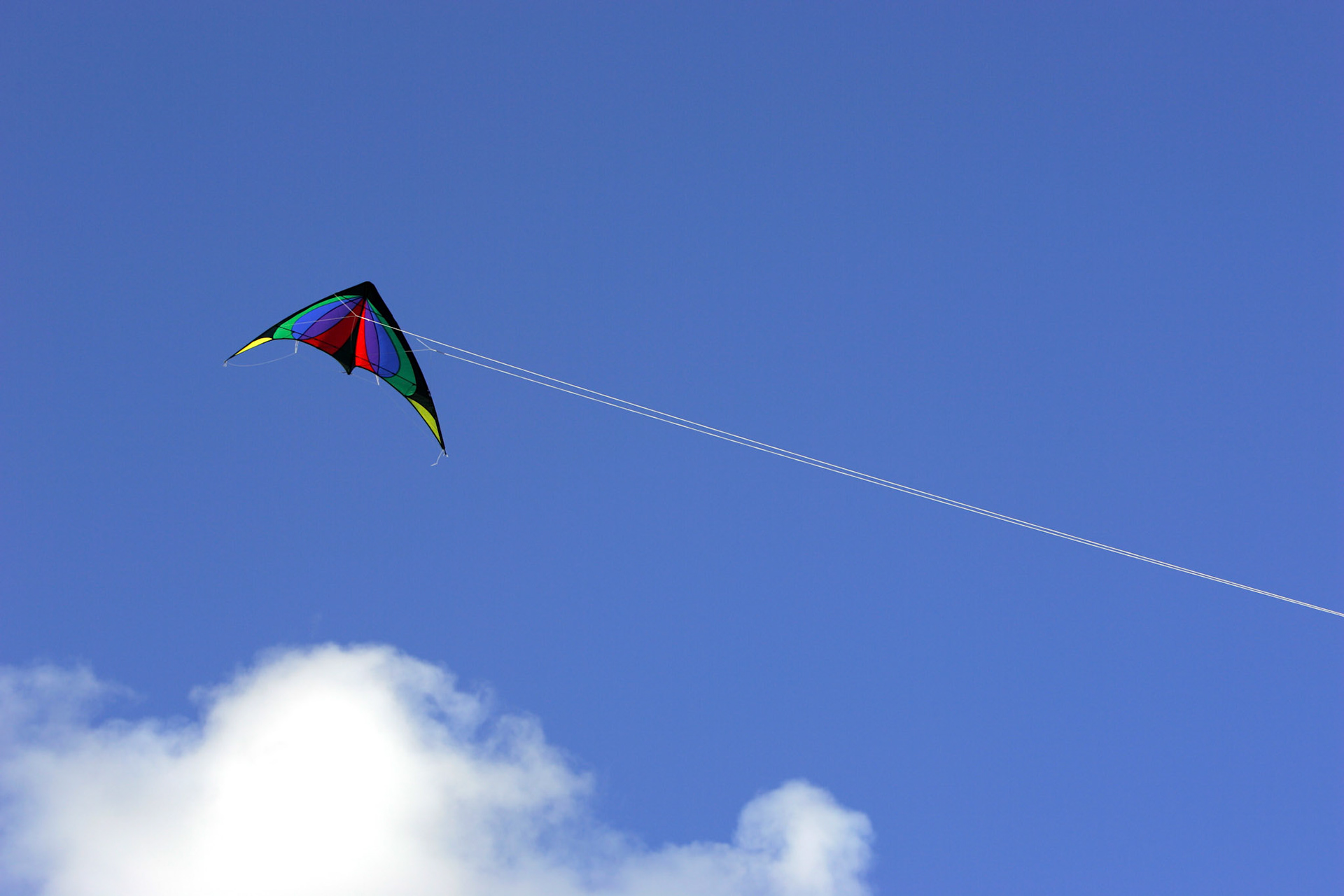 Stunt Kite - Kirkland, WA
