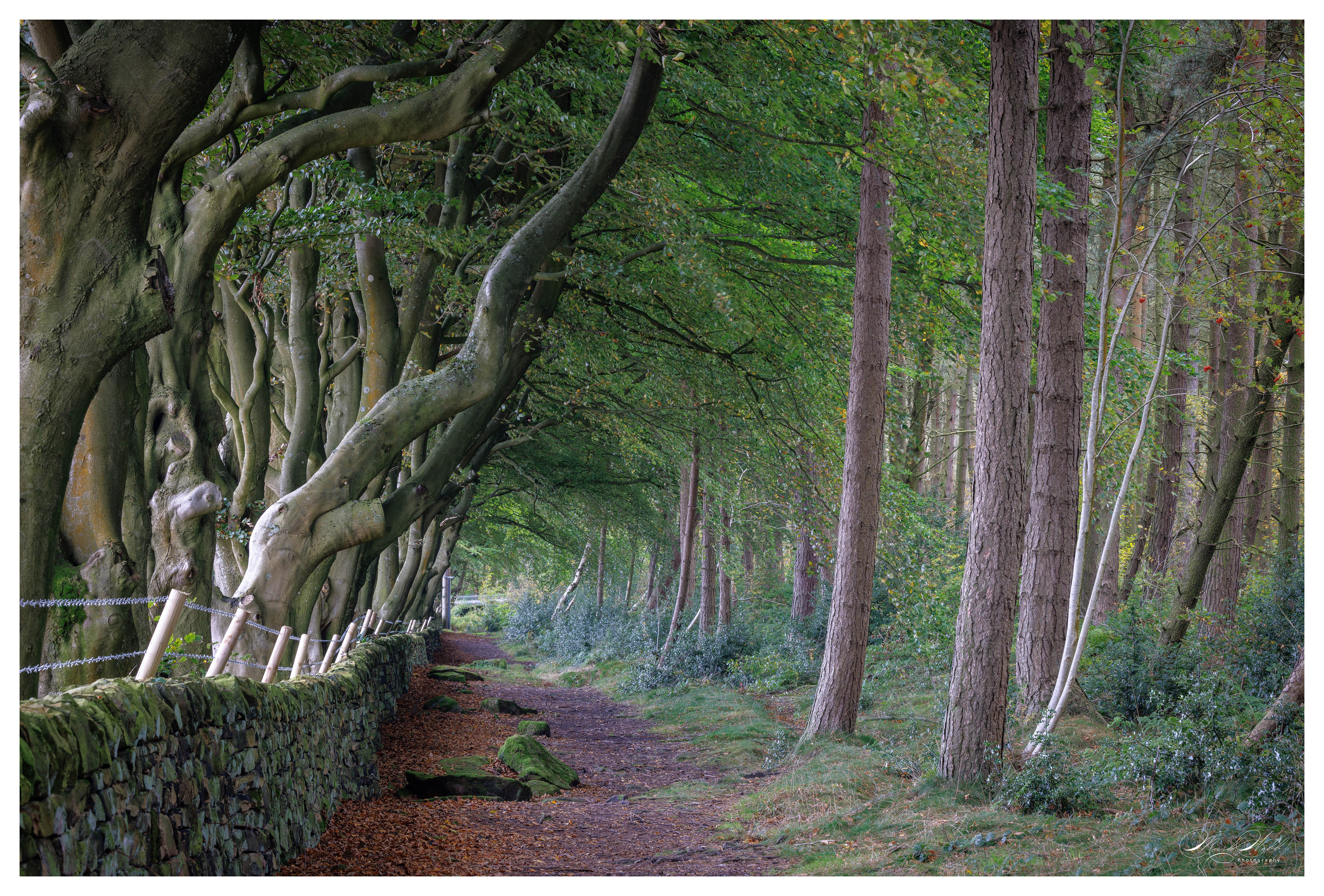 Upper Moor Derbyshire