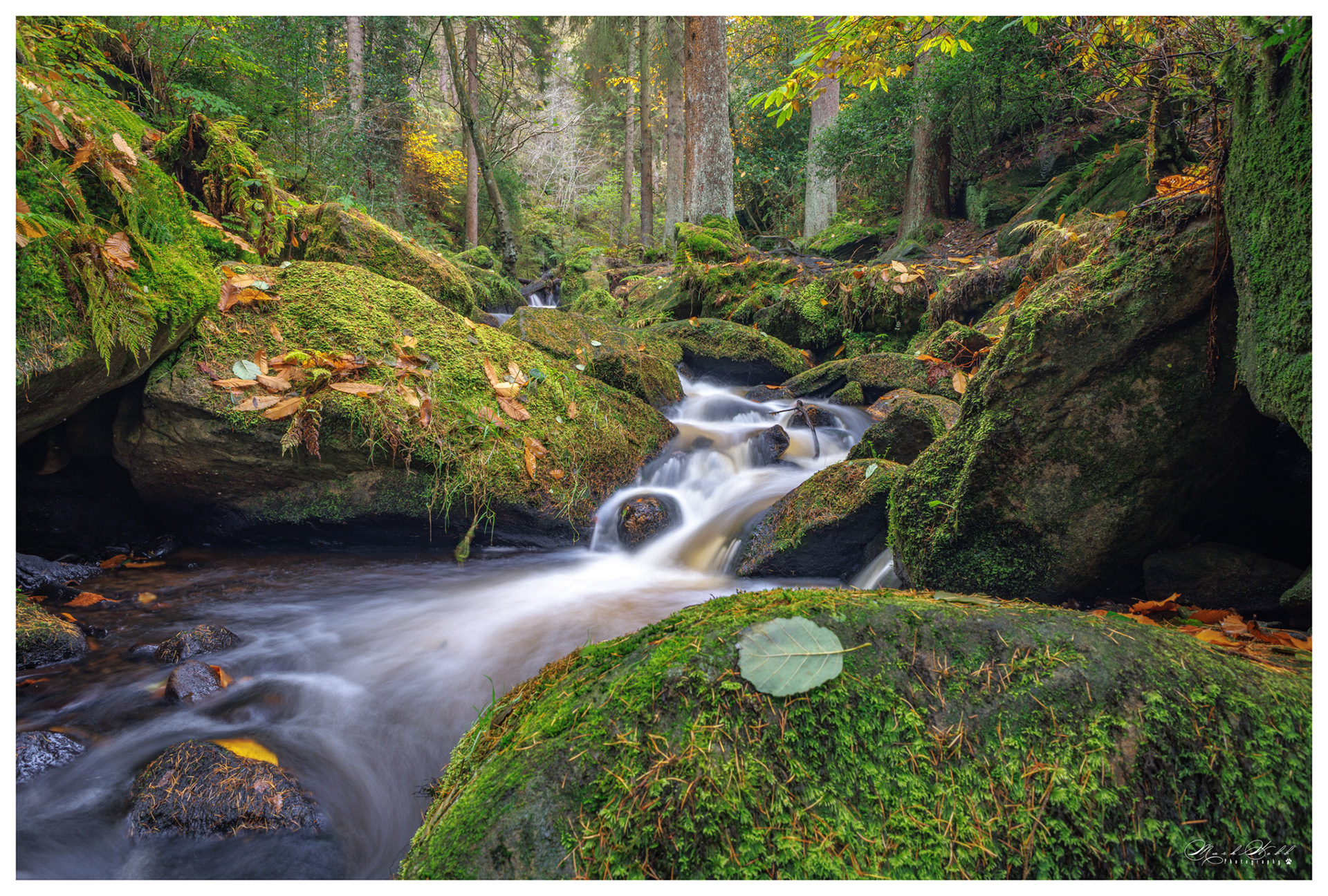 Wyming Brook