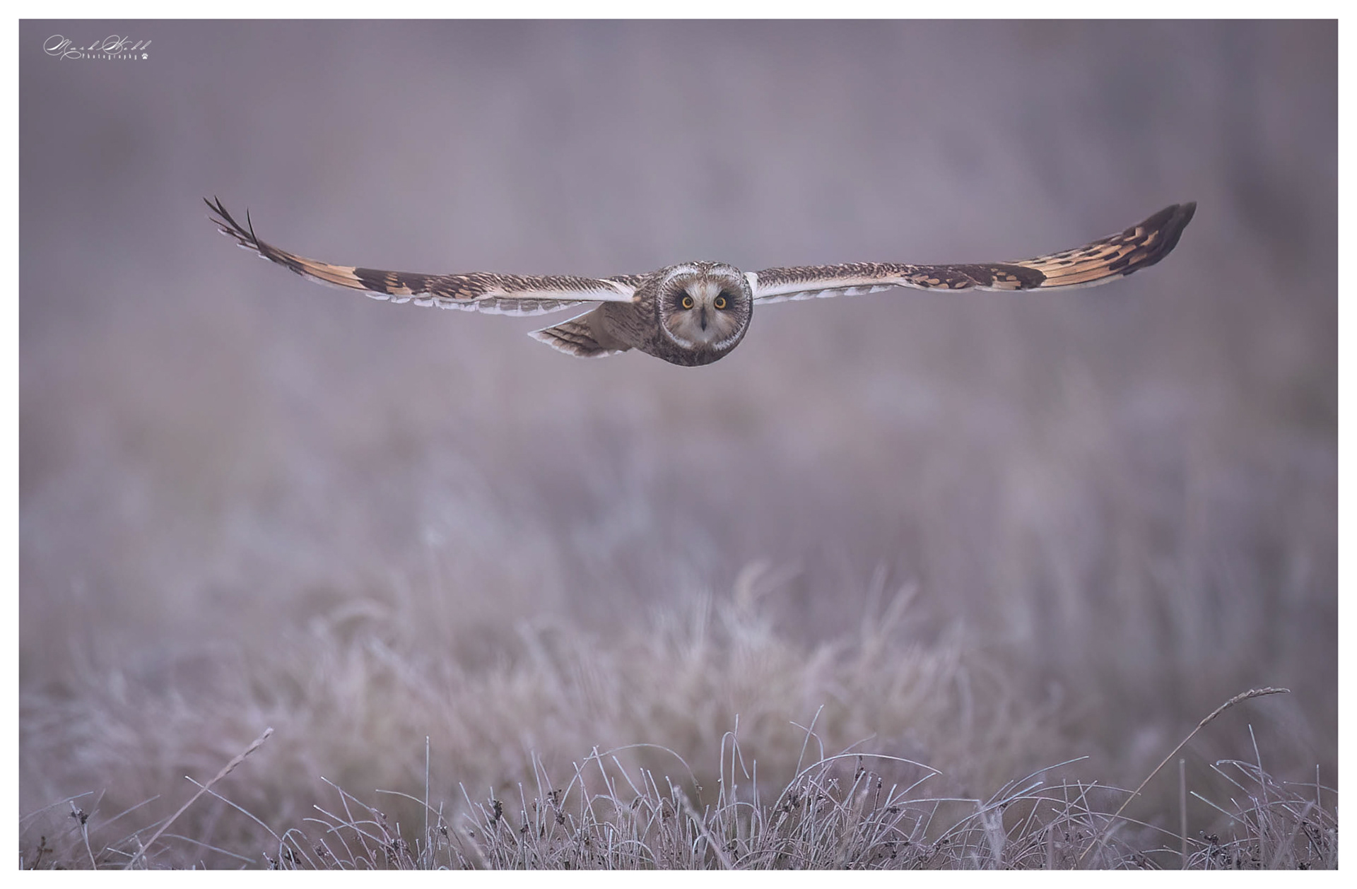 SEO Burwell Fen December 2023