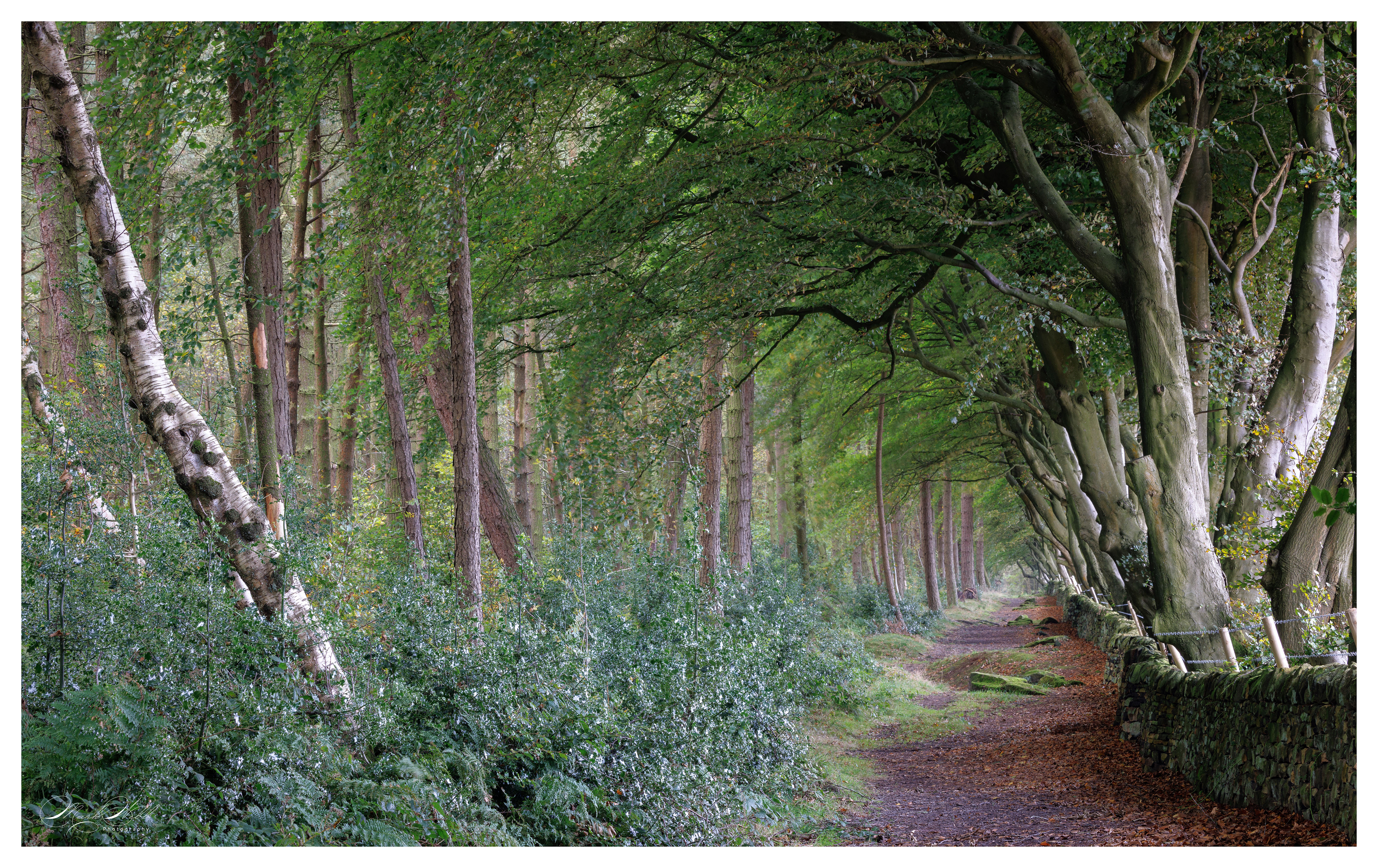 Upper Moor Derbyshire