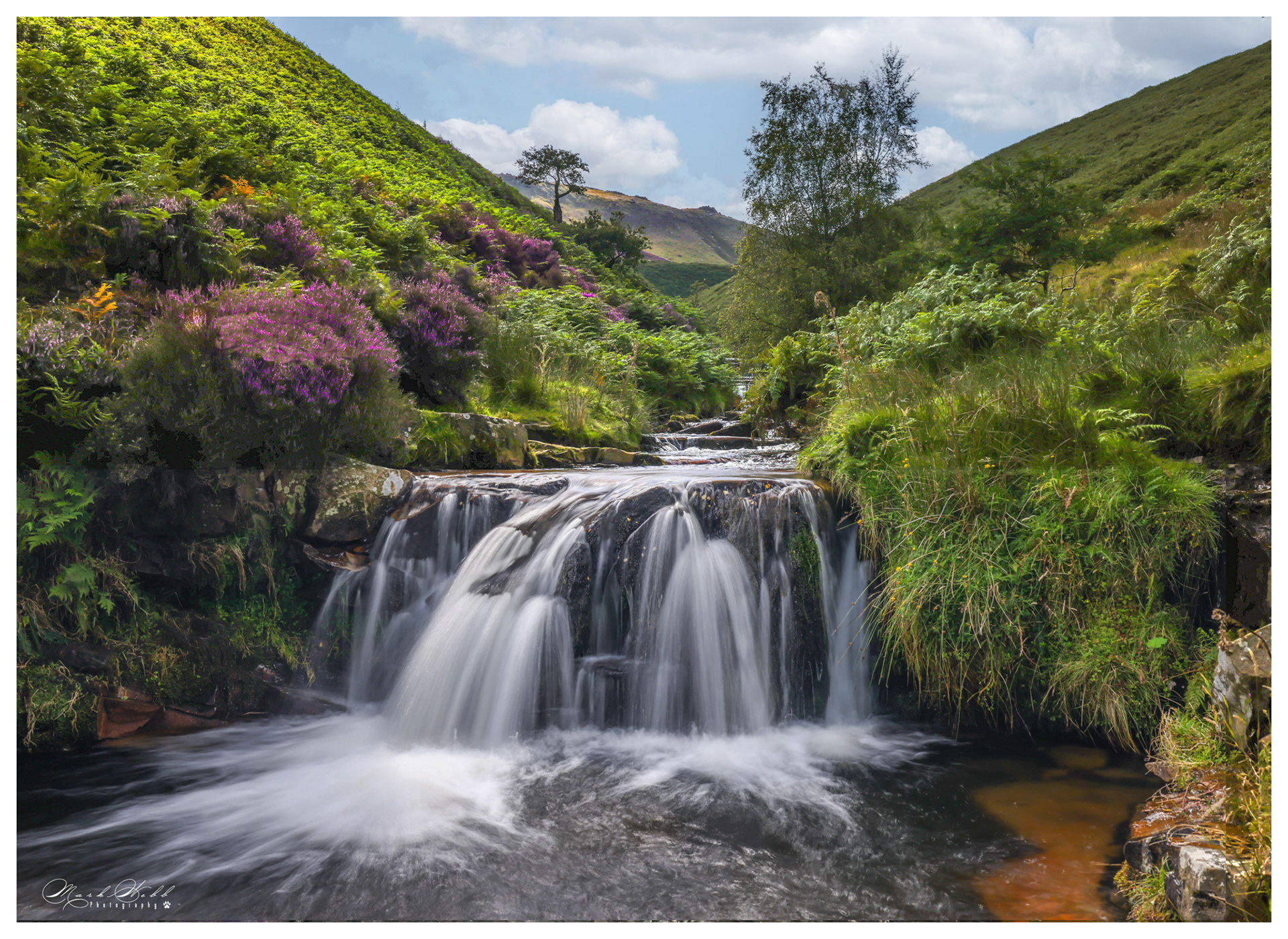 Fairbrook