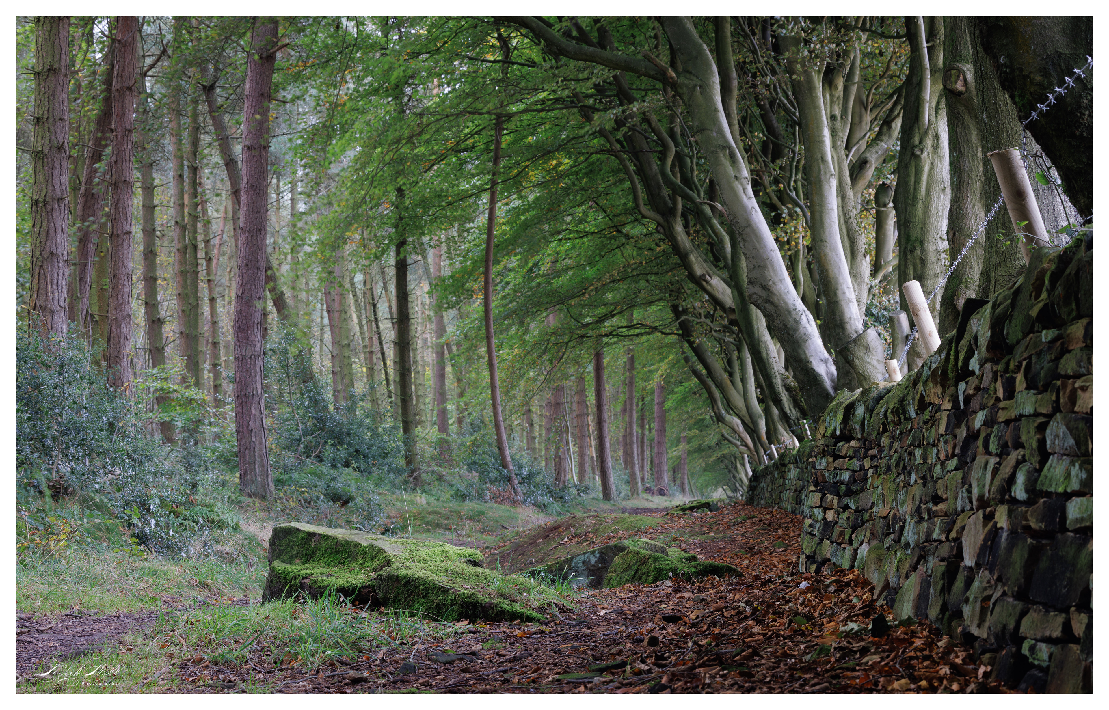Upper Moor Derbyshire