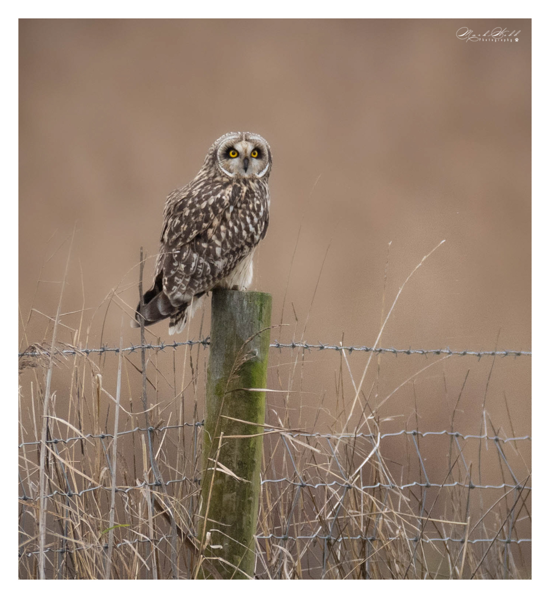 SEO Burwell Fen December 2023