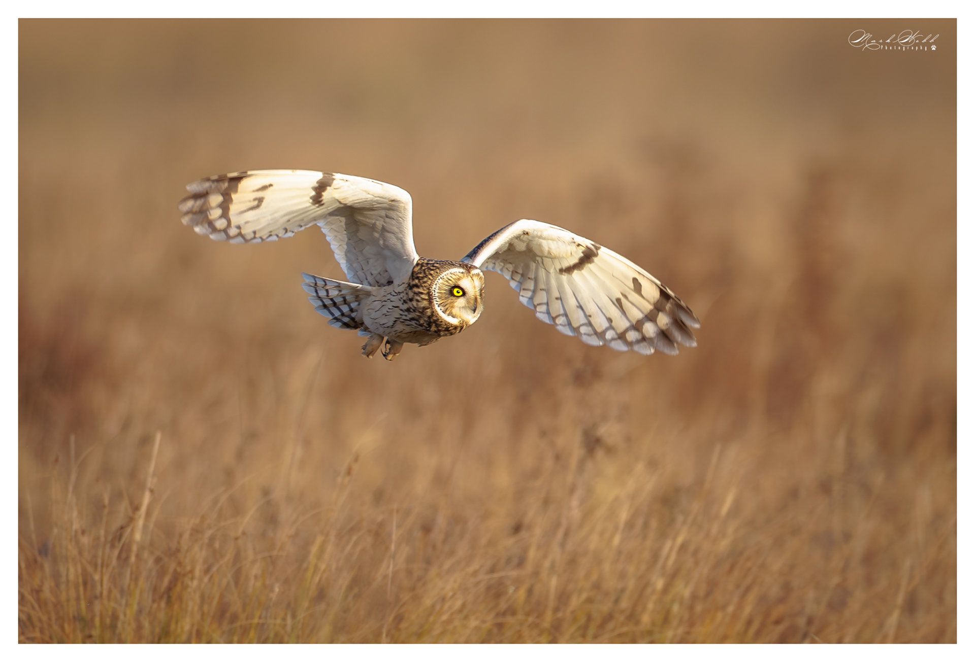 SEO Burwell Fen December 2023