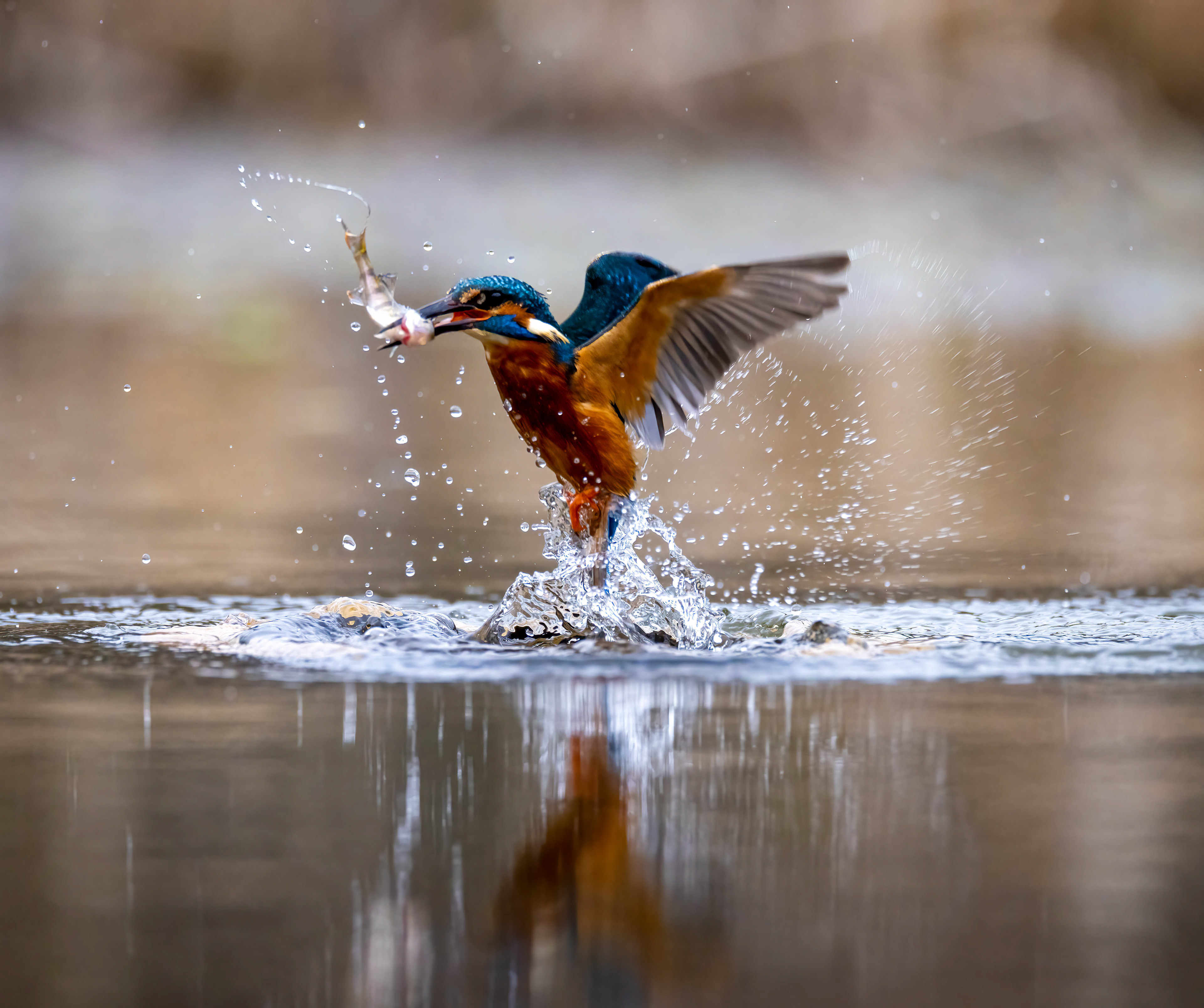 Wildlife Hides March 2023