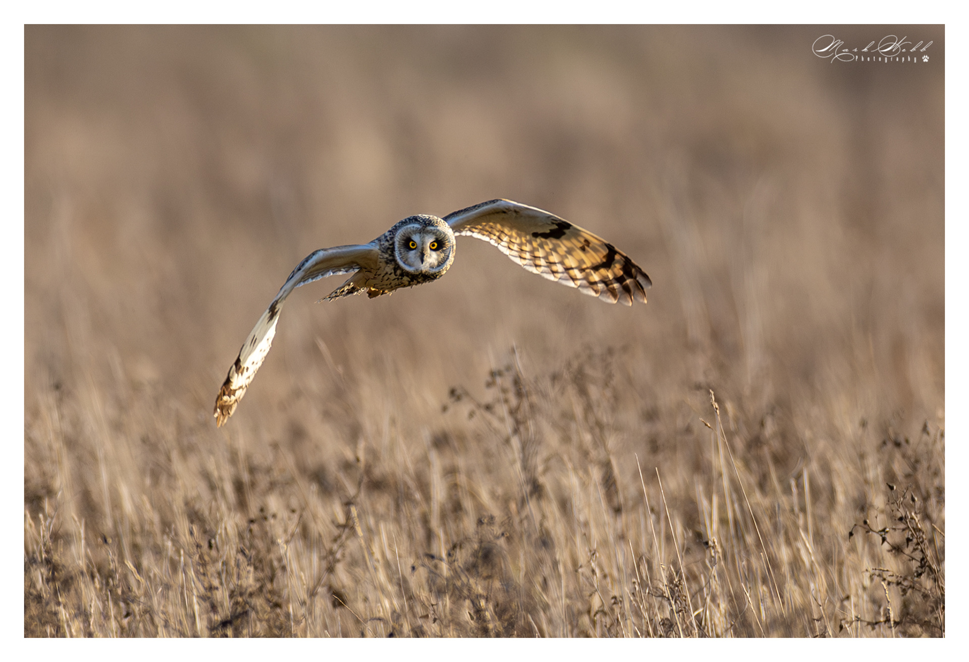 SEO Burwell Fen December 2023