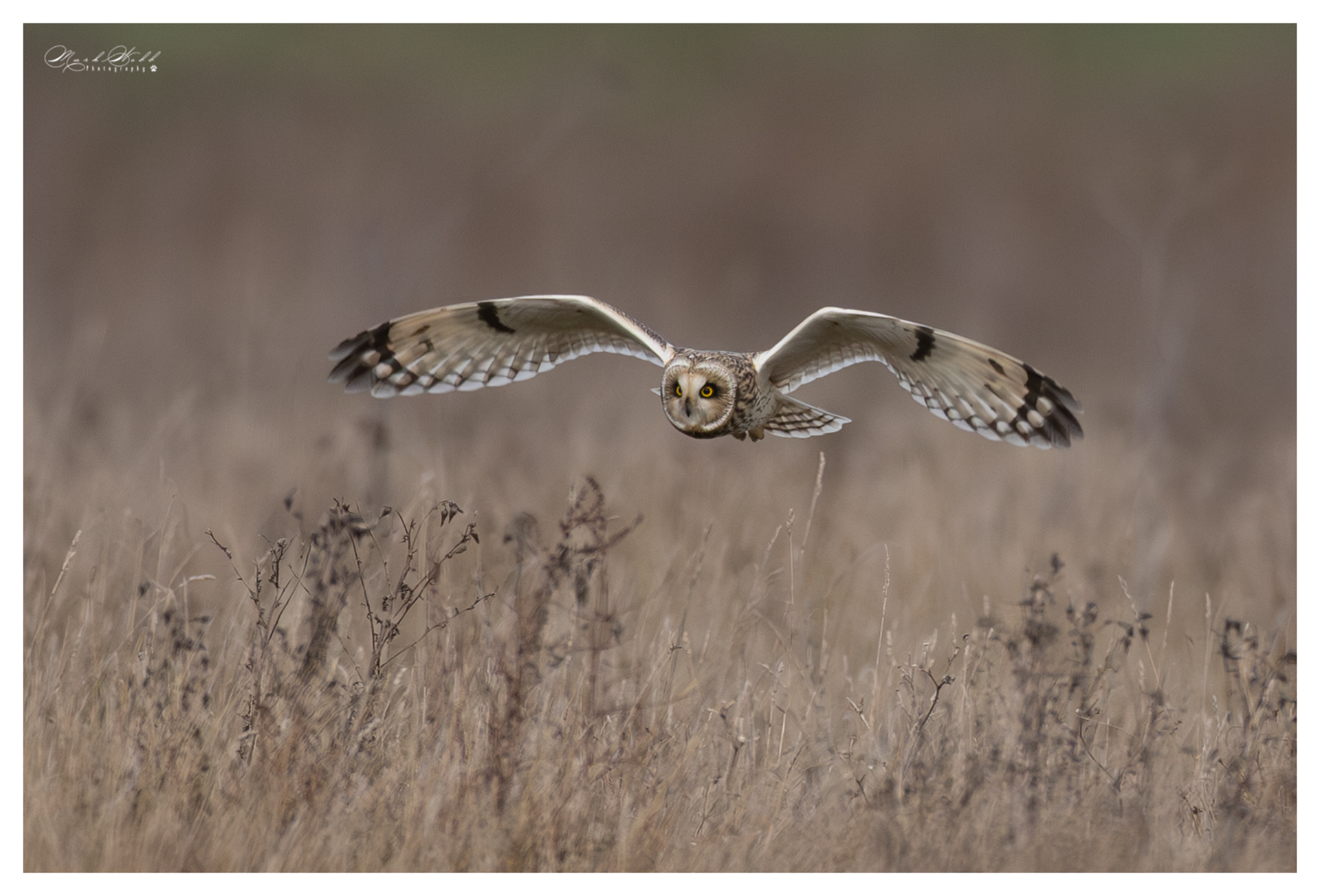 SEO Burwell Fen December 2023