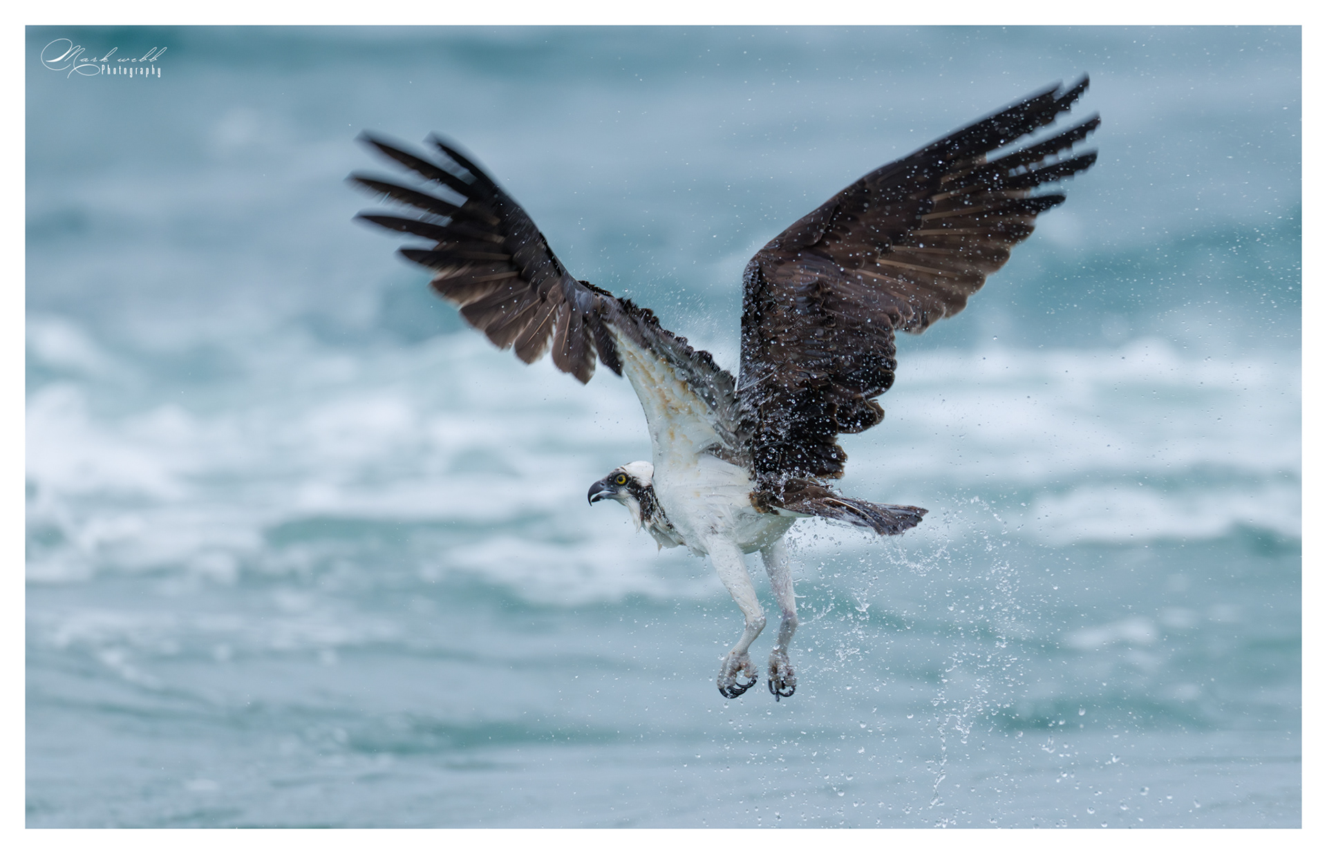 Osprey S Inlet