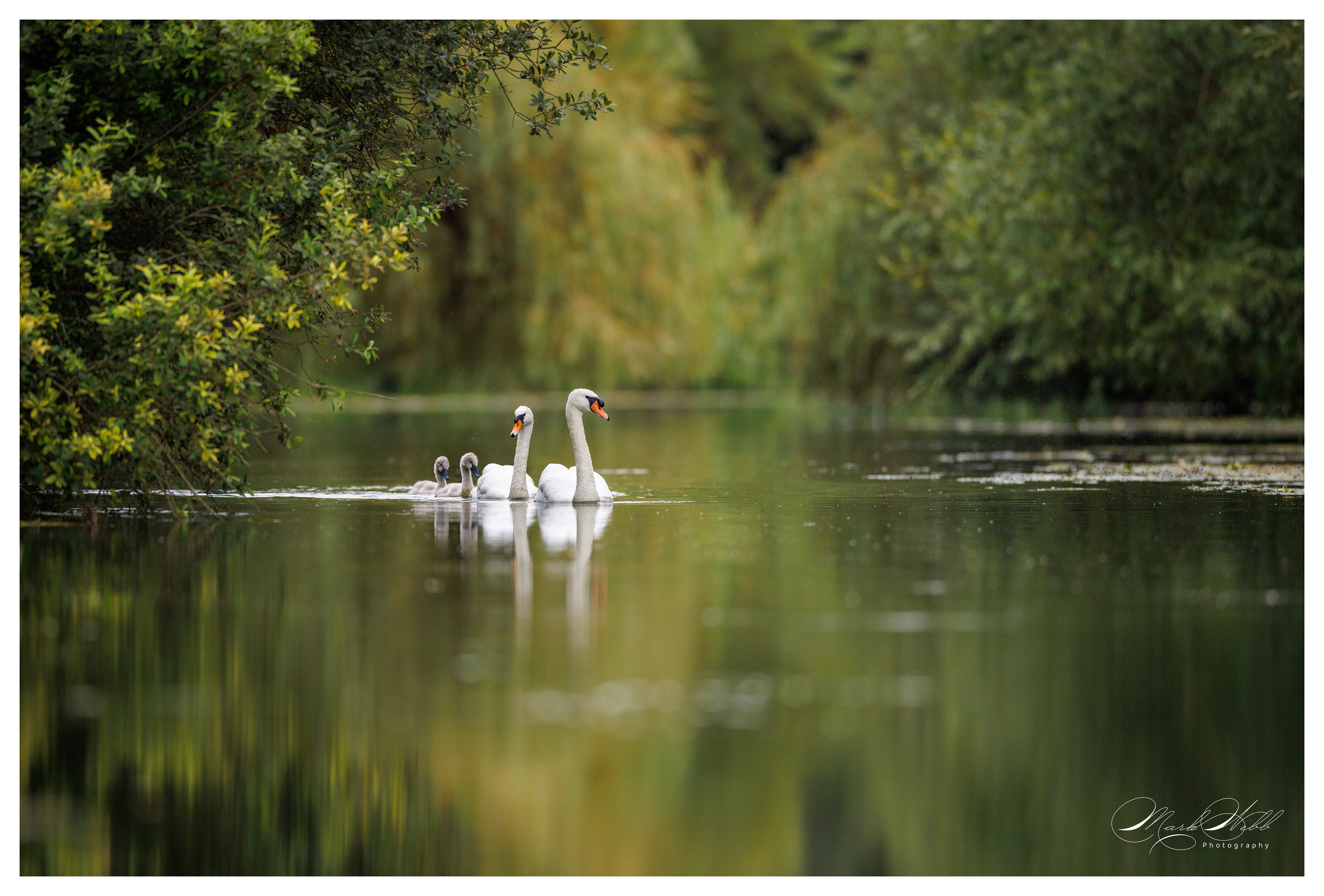 River Stour July 2024