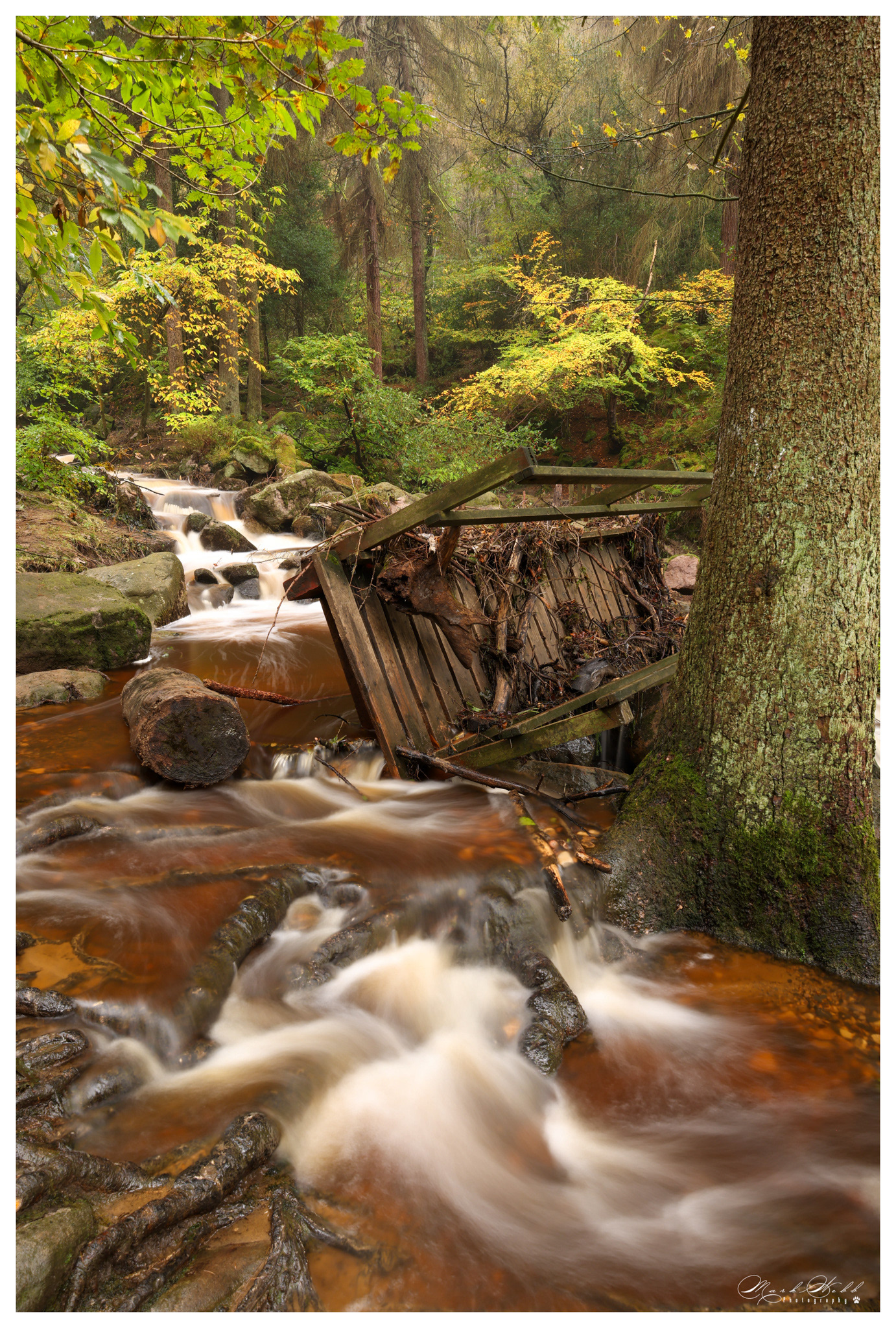 Wyming brook October 2023