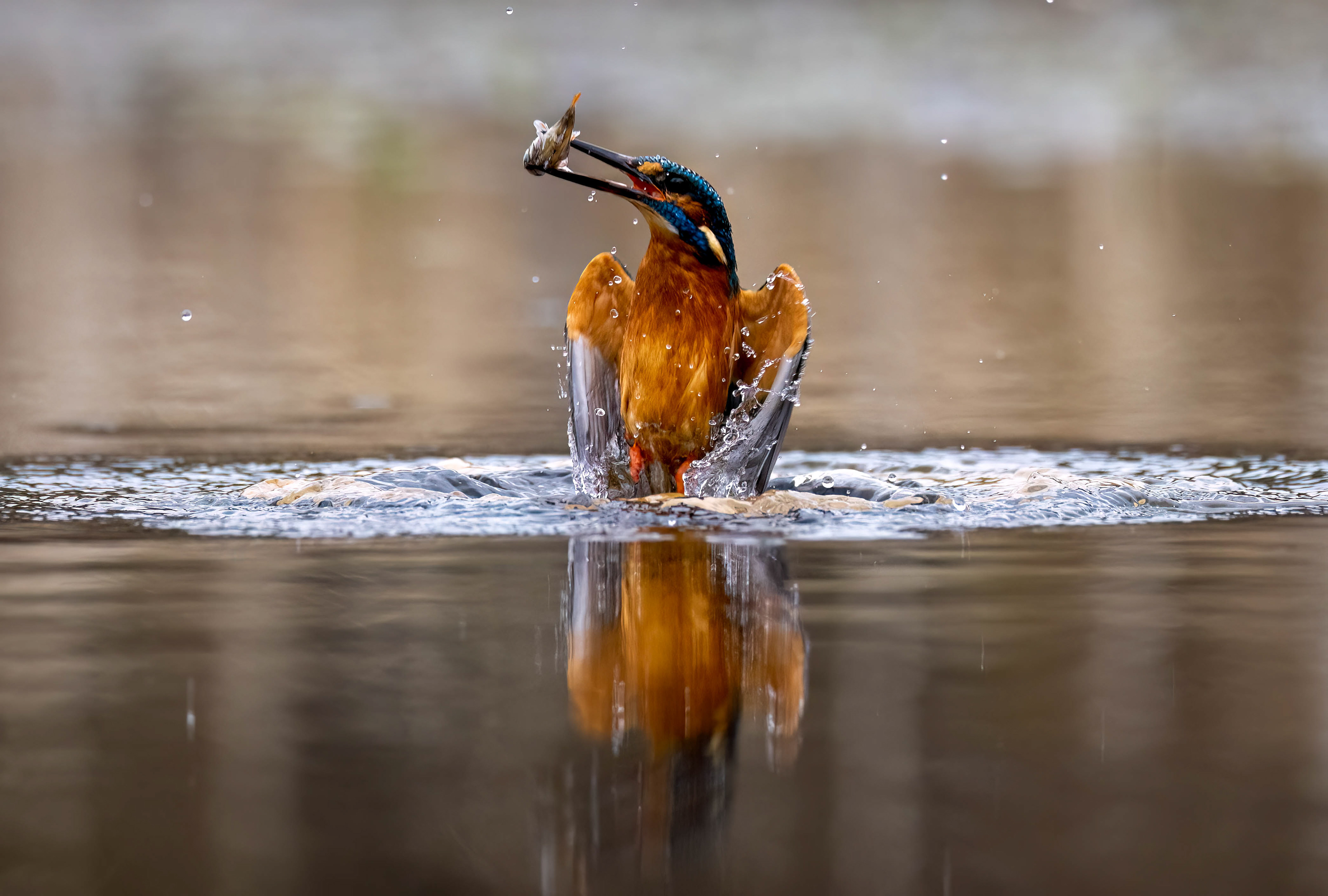 Wildlife Hides March 2023