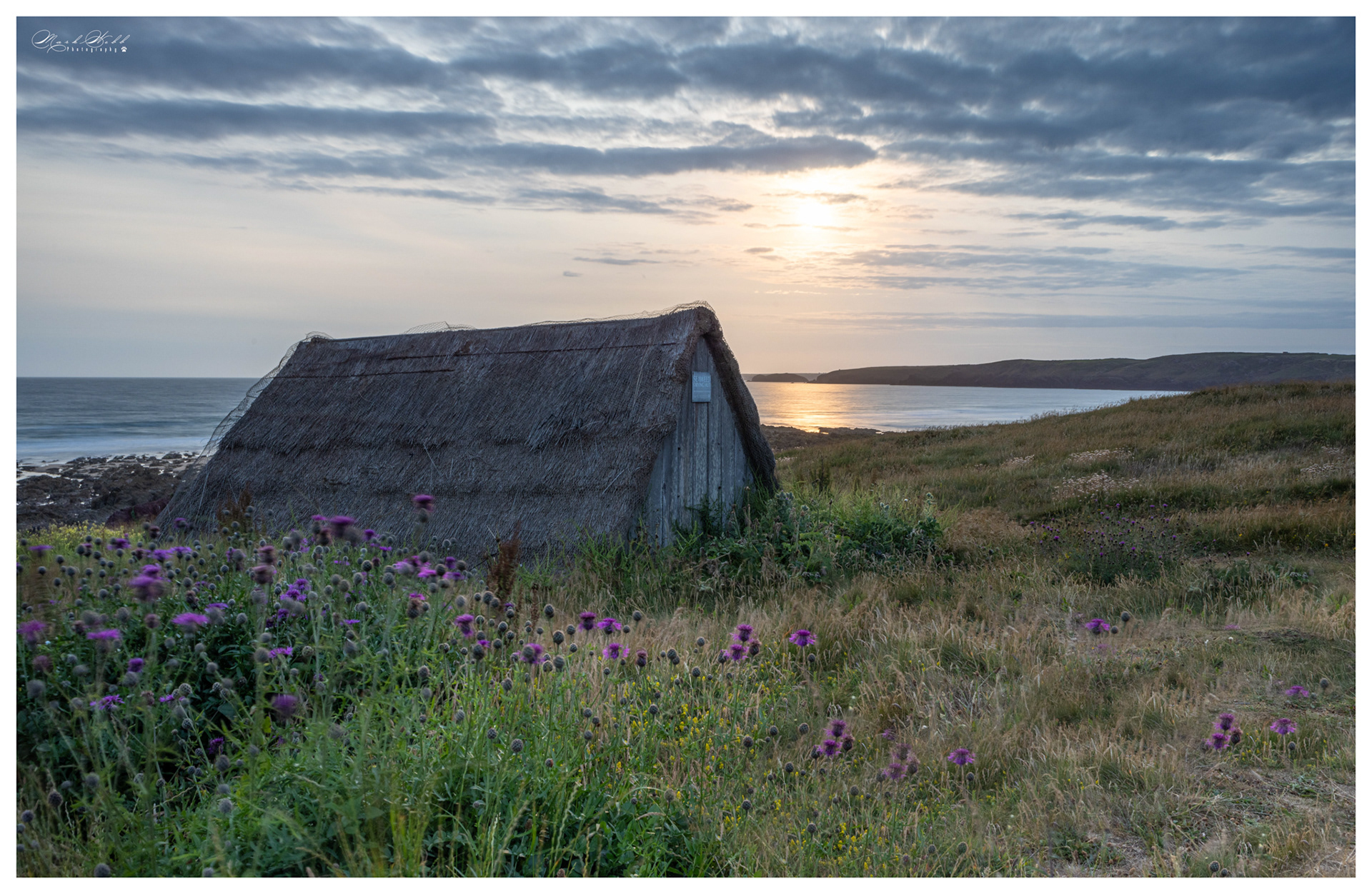 Freshwater West June 2023