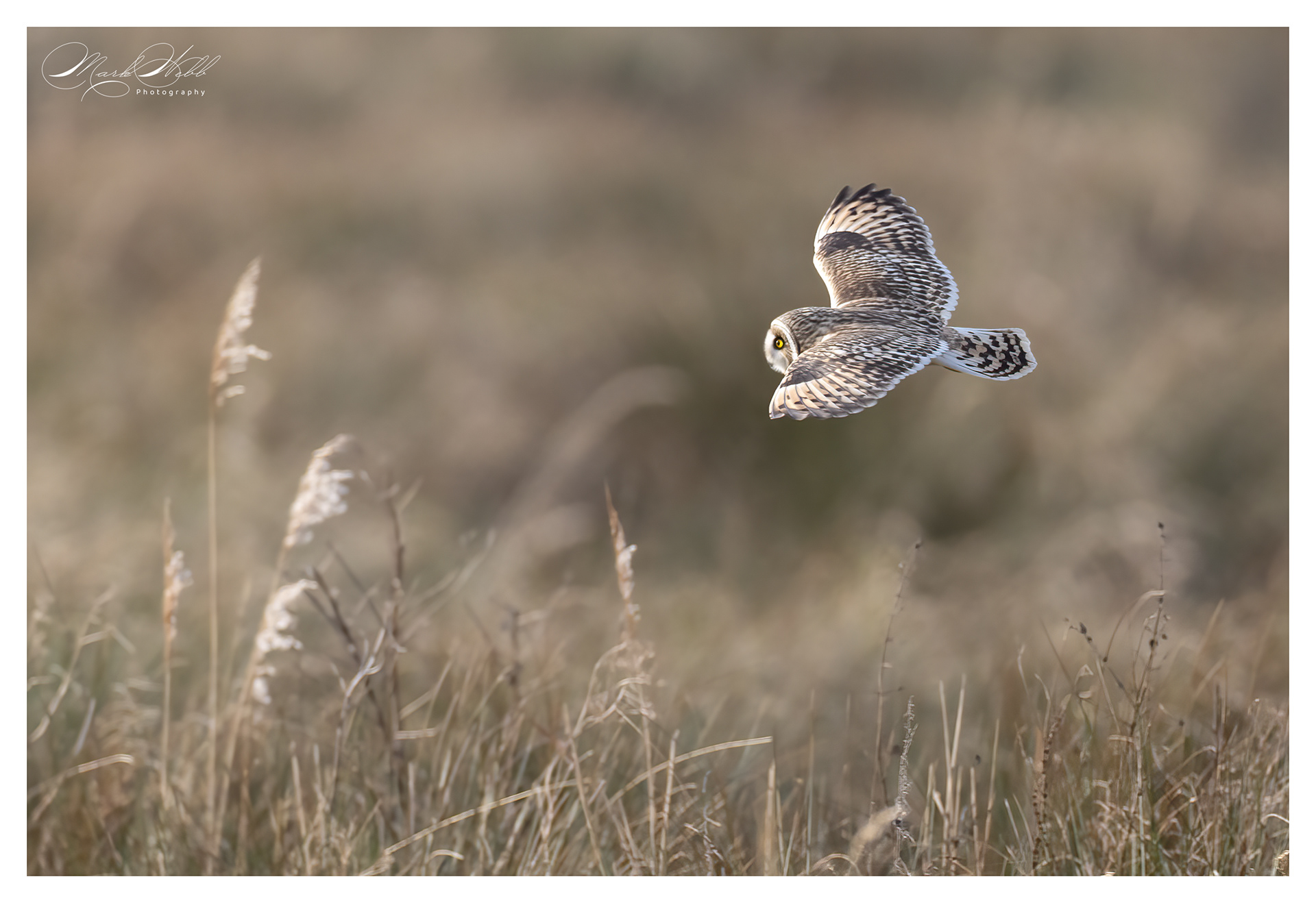SEO Burwell Fen January 2024