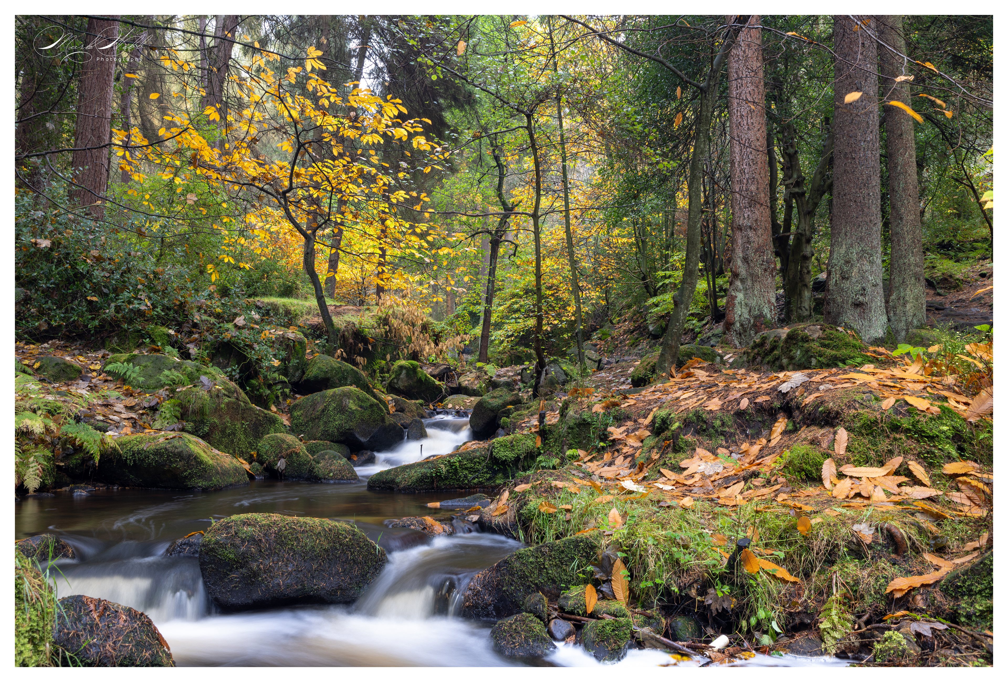 Wyming Brook