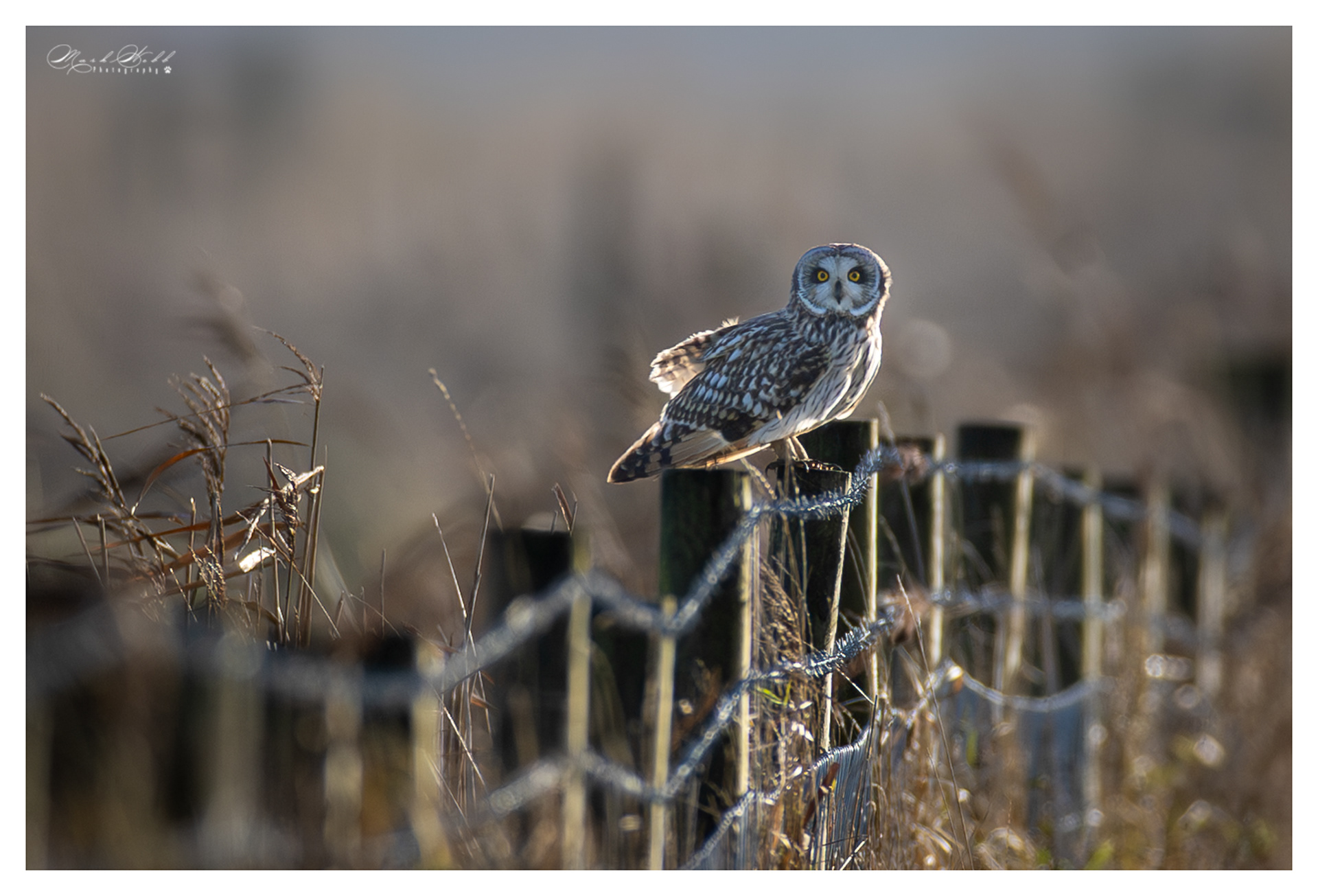 SEO Burwell Fen December 2023