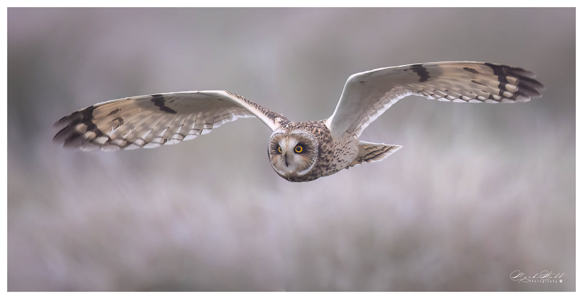 SEO Burwell Fen December 2023