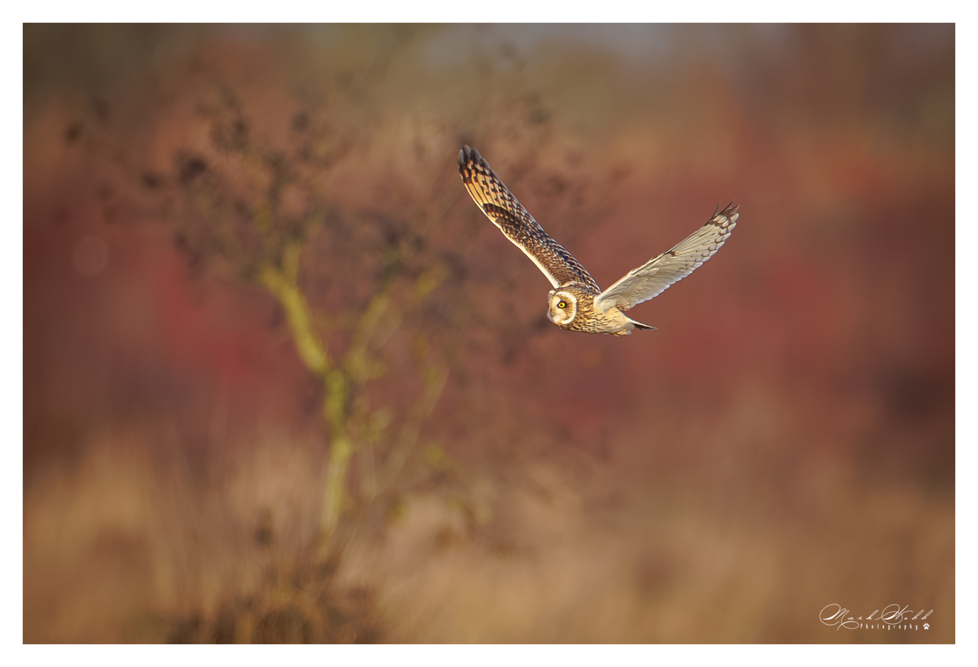 SEO Burwell Fen December 2023