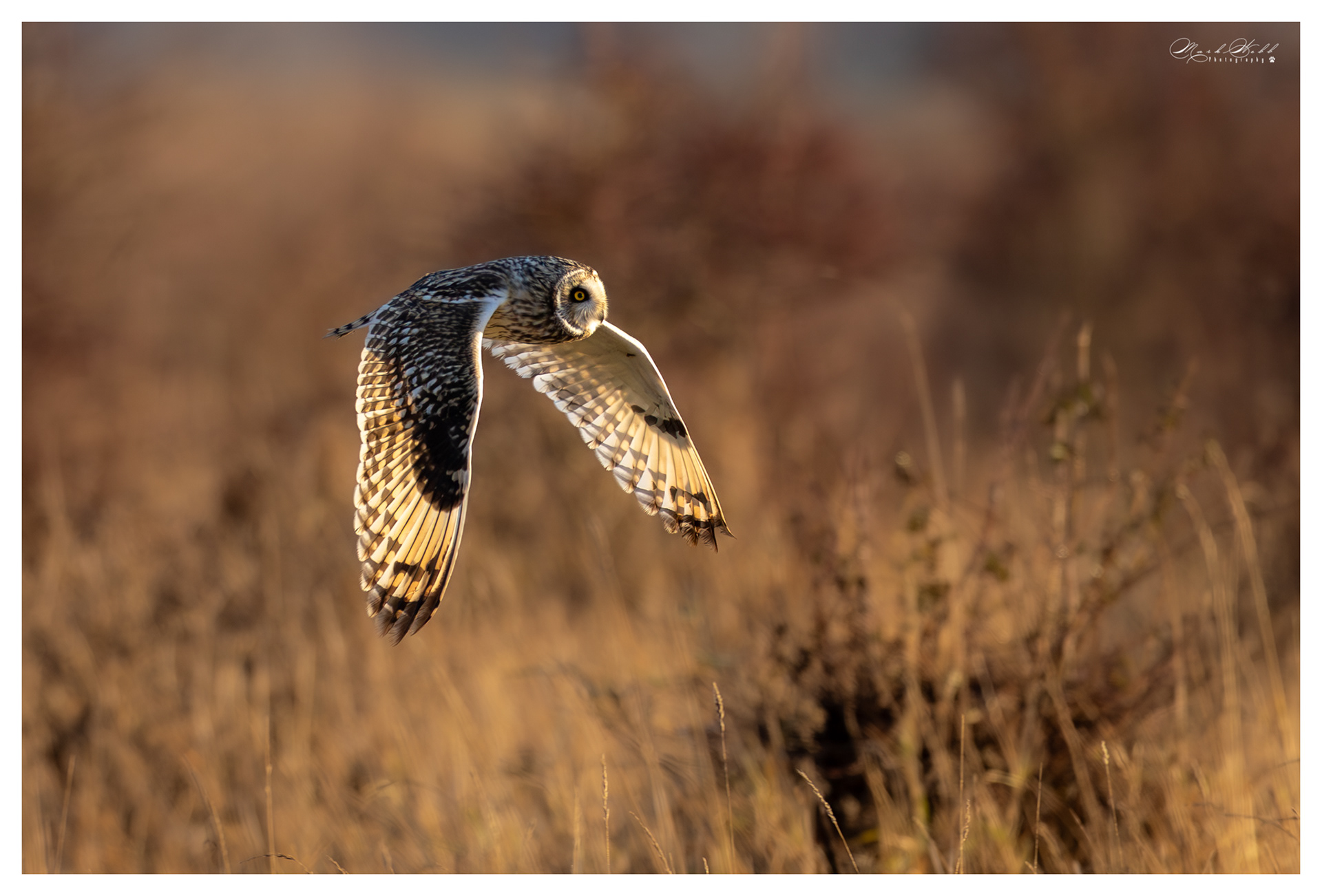 SEO Burwell Fen December 2023