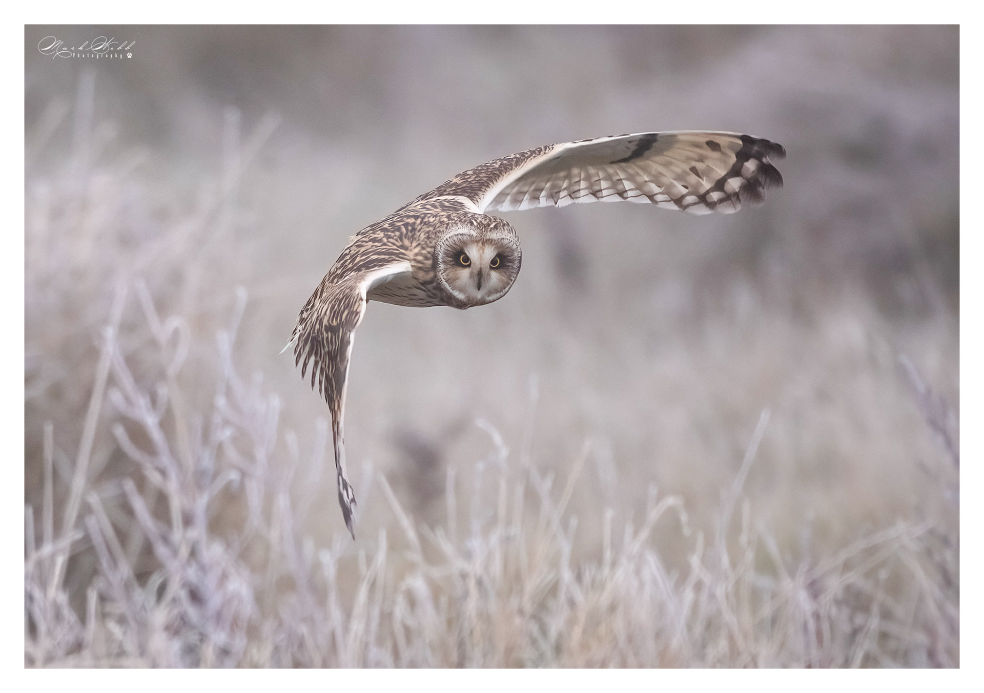 SEO Burwell Fen December 2023
