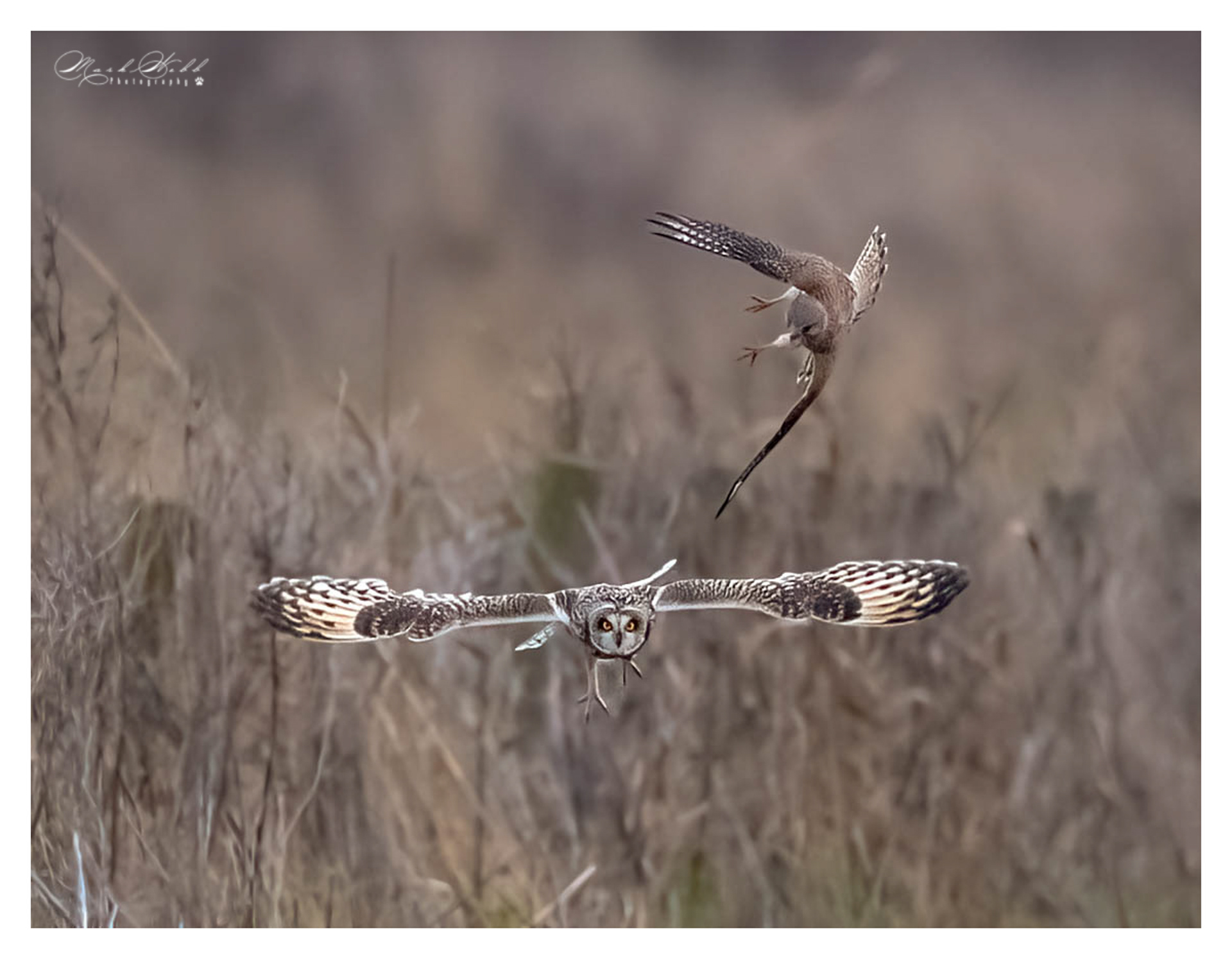 SEO Burwell Fen December 2023