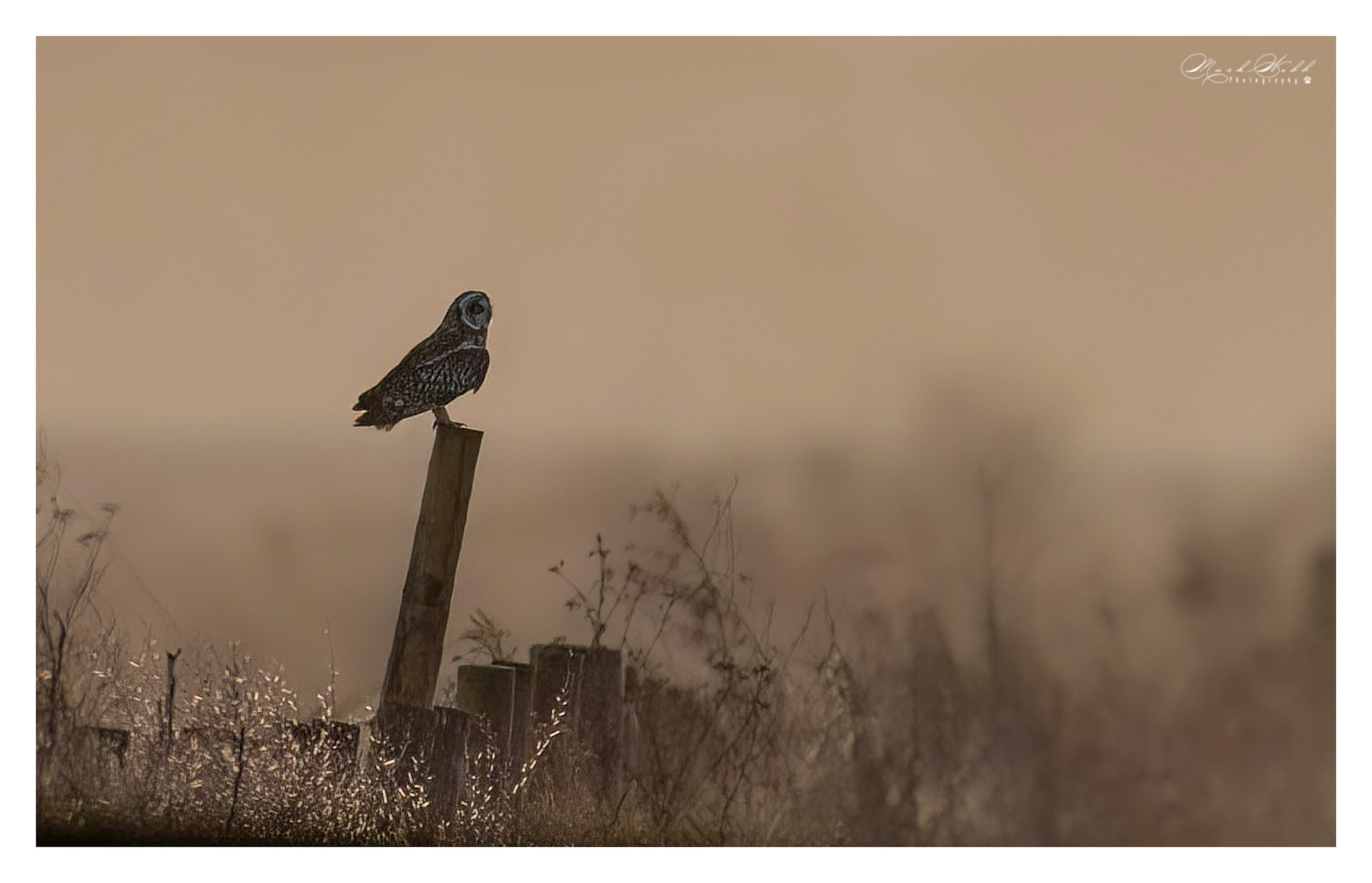 SEO Burwell Fen December 2023