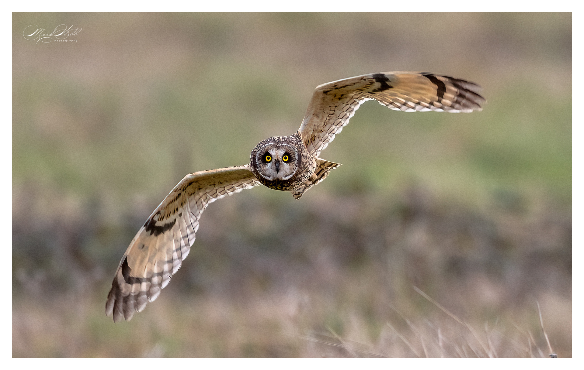 SEO Wallasea Island February 2024